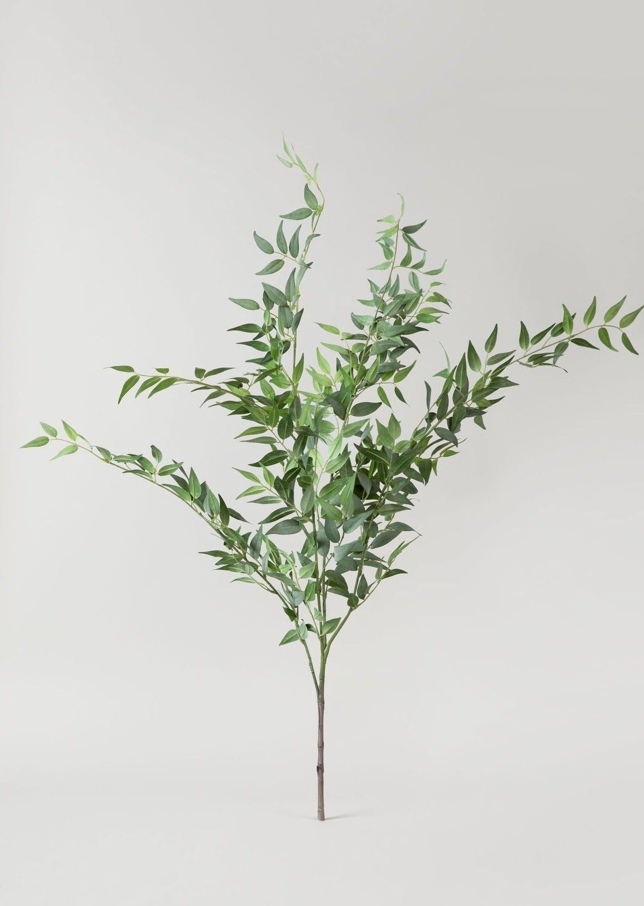 Faux Italian Ruscus Spray - 46"-Everyday Plants-The Succulent Source