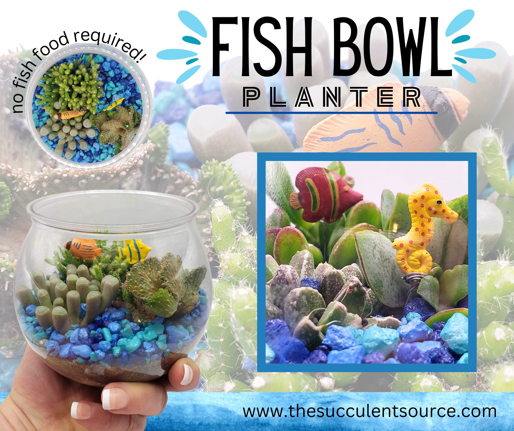 Fish Bowl Planter-Succulent - Arrangement-The Succulent Source