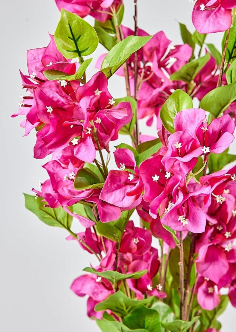 Fuchsia Faux Bougainvillea Hanging Bush - 43"-Blooming Flowers-The Succulent Source