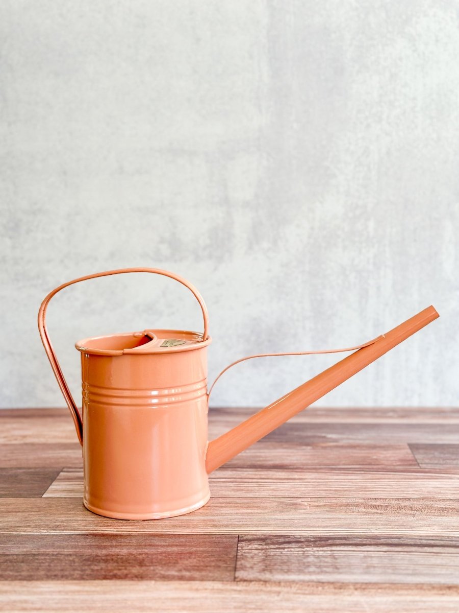 Galvanized Metal Watering Can 1.5 Liter-Watering Cans-The Succulent Source