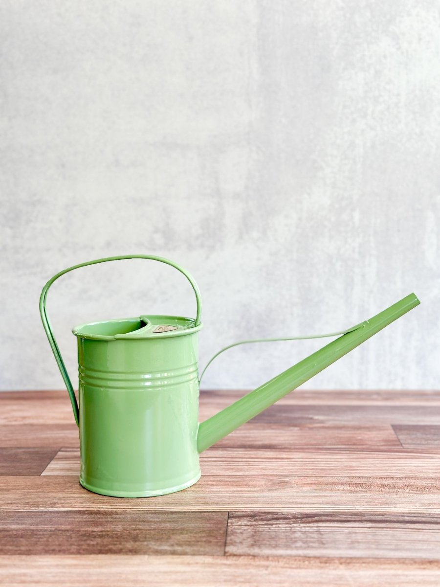 Galvanized Metal Watering Can 1.5 Liter-Watering Cans-The Succulent Source