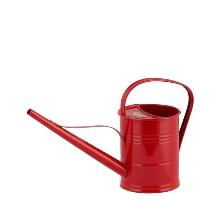 Galvanized Metal Watering Can 1.5 Liter-Watering Cans-The Succulent Source