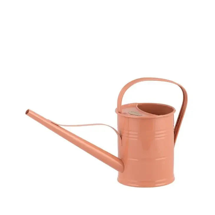 Galvanized Metal Watering Can 1.5 Liter-Watering Cans-The Succulent Source