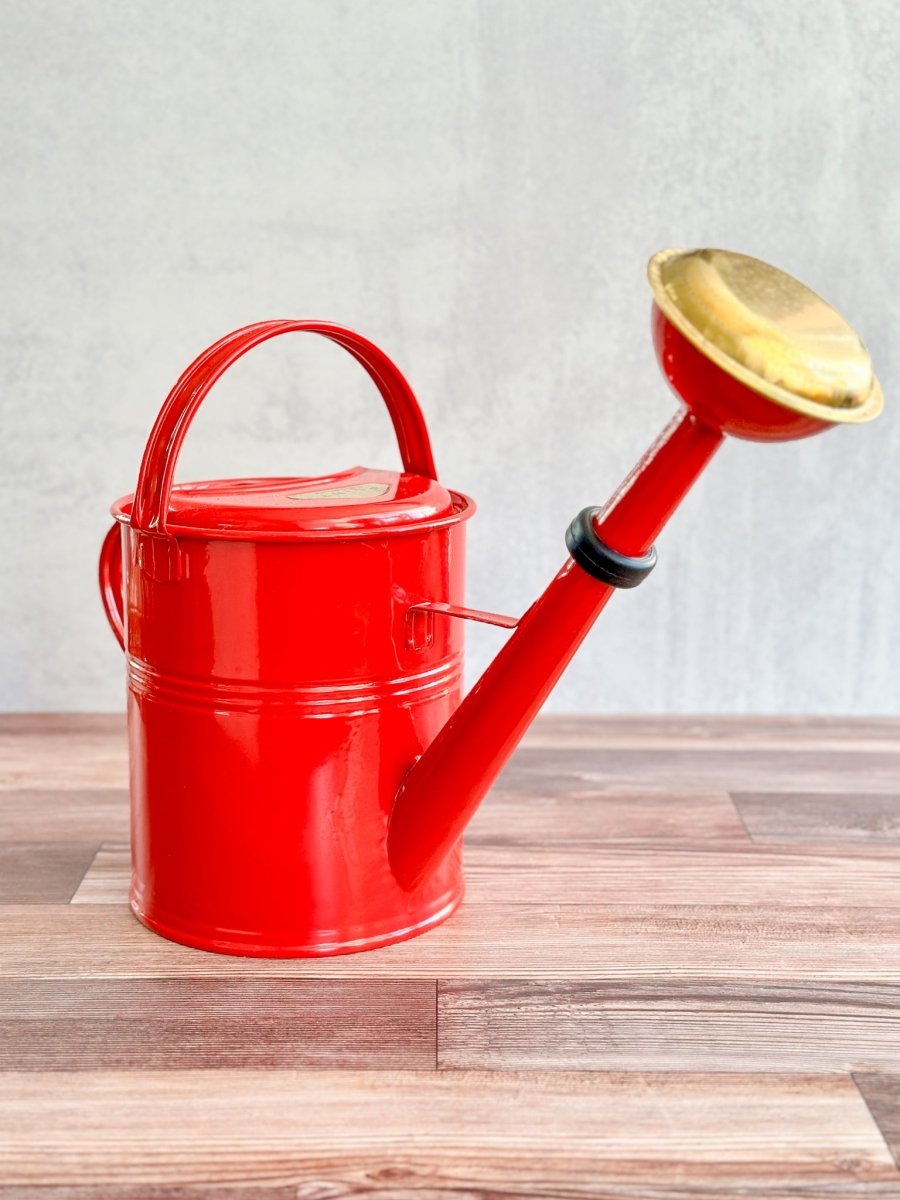 Galvanized Metal Watering Can 5 Liter with Removeable Sprinkler Head-Watering Cans-The Succulent Source