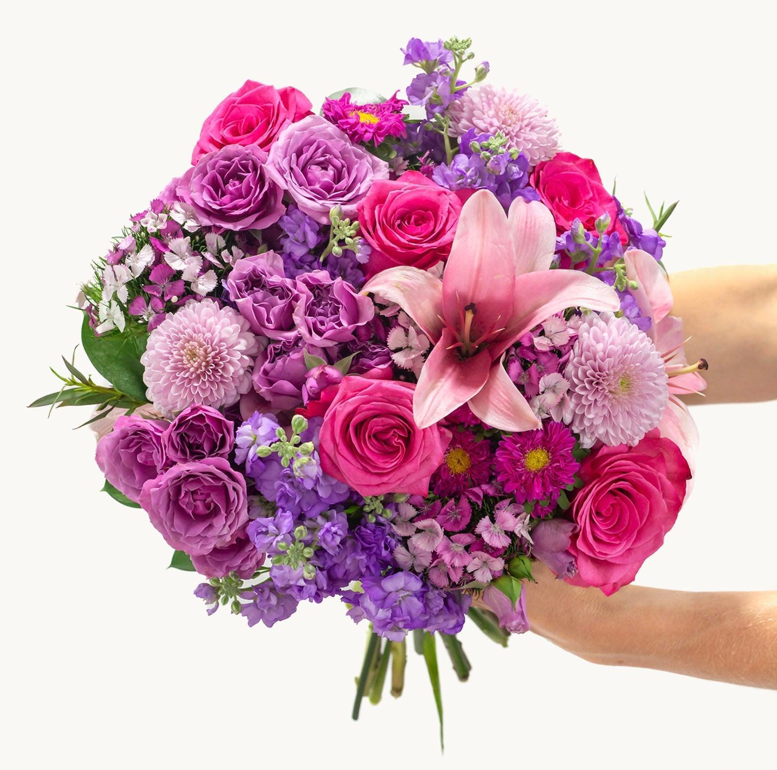 Give Me Butterflies-The Succulent Source