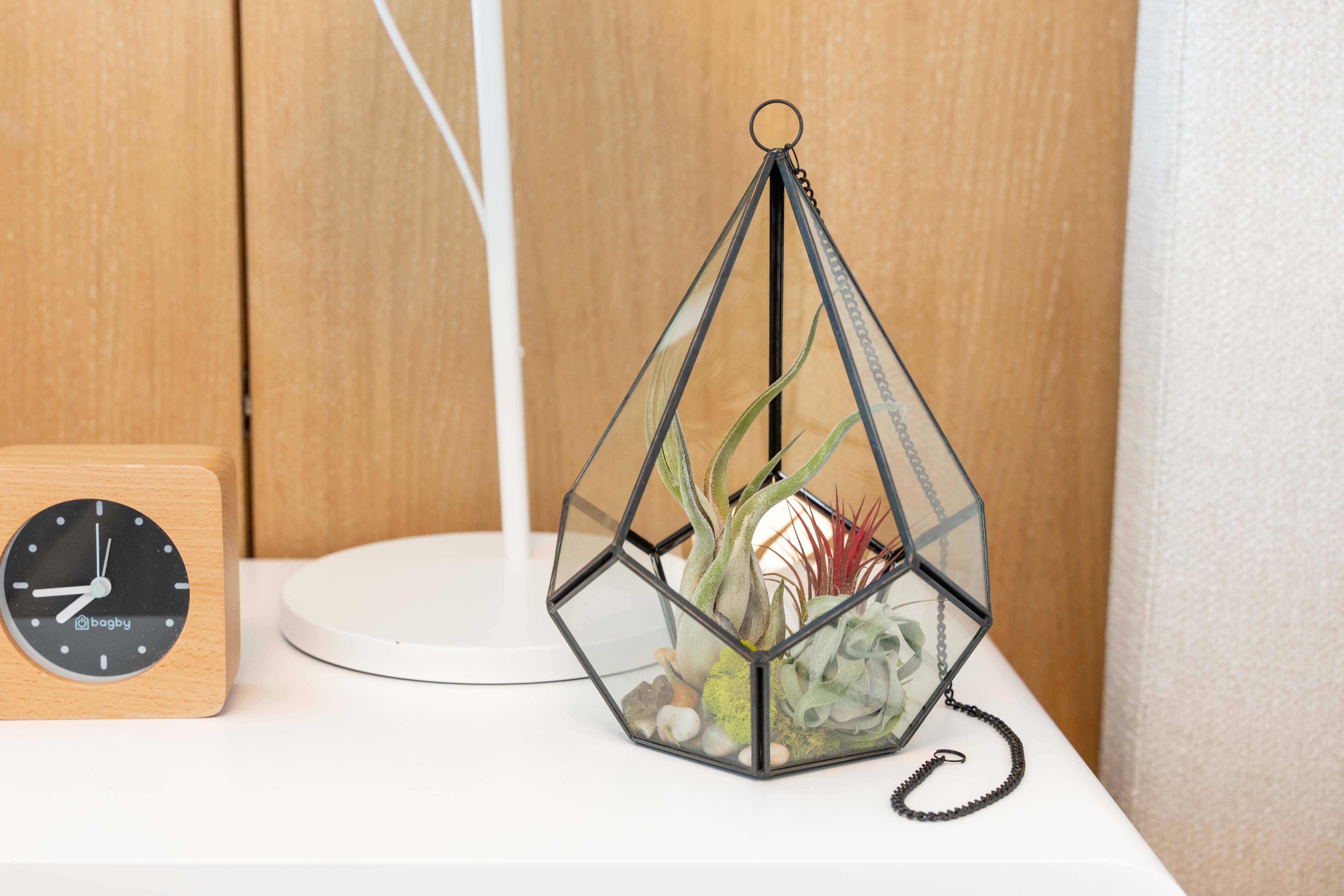 Glass Diamond Terrarium-terrarium-The Succulent Source