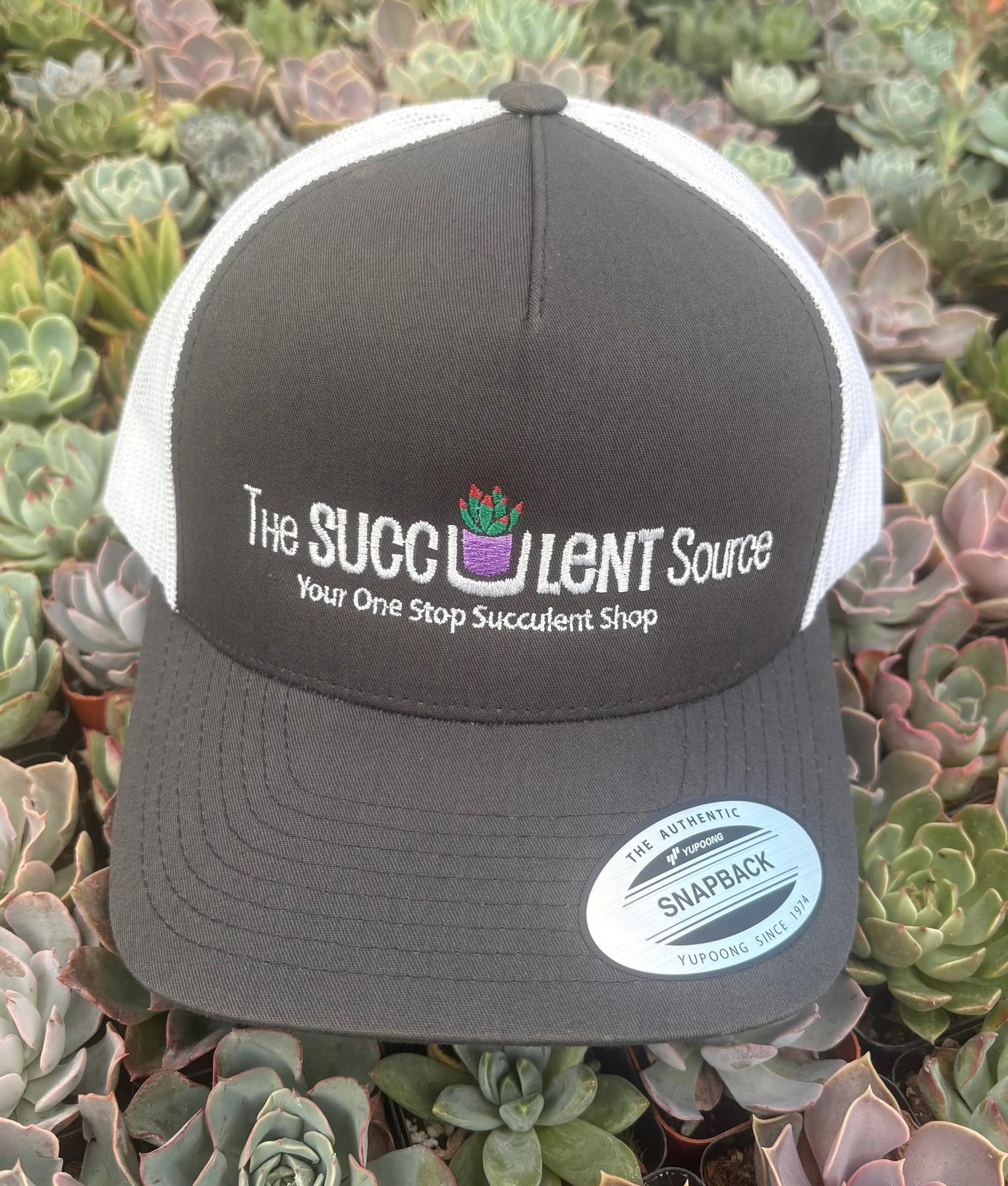 Hats - The Succulent Source-Accessory-The Succulent Source