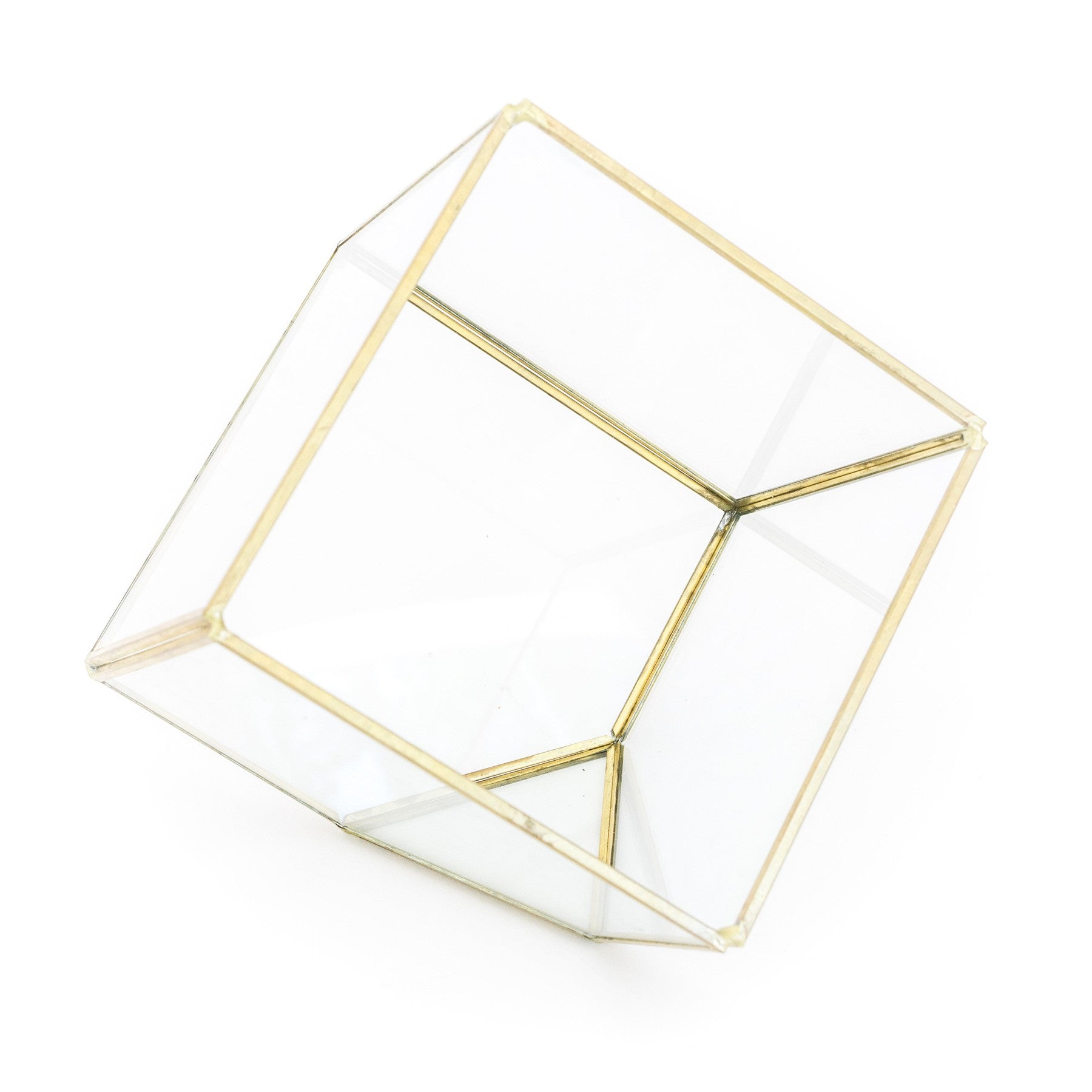 Heptahedron Geometric Glass Terrarium - Gold Metallic Finish - Trendy Holder For Tillandsia Air Plants-gift-The Succulent Source