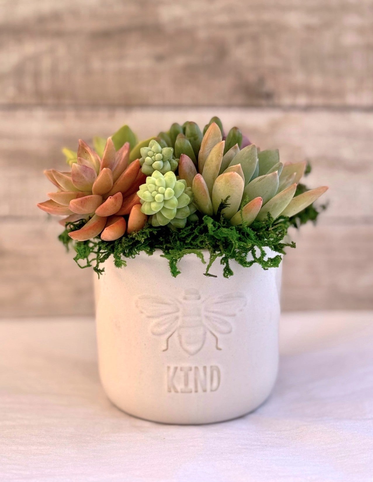 Bee Kind ceramic bee embosed planter filled with succulent plants