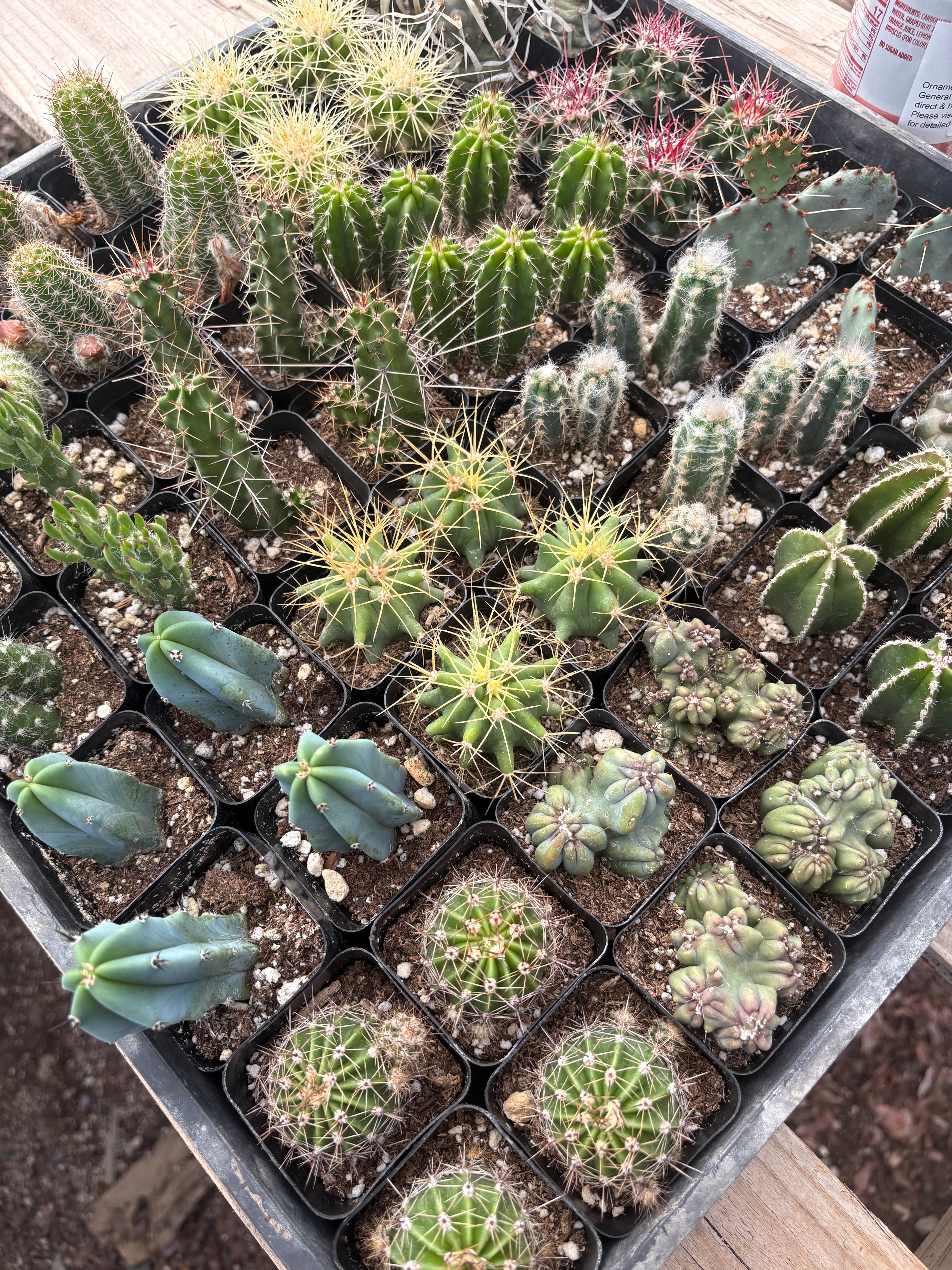 Super 64 Tray