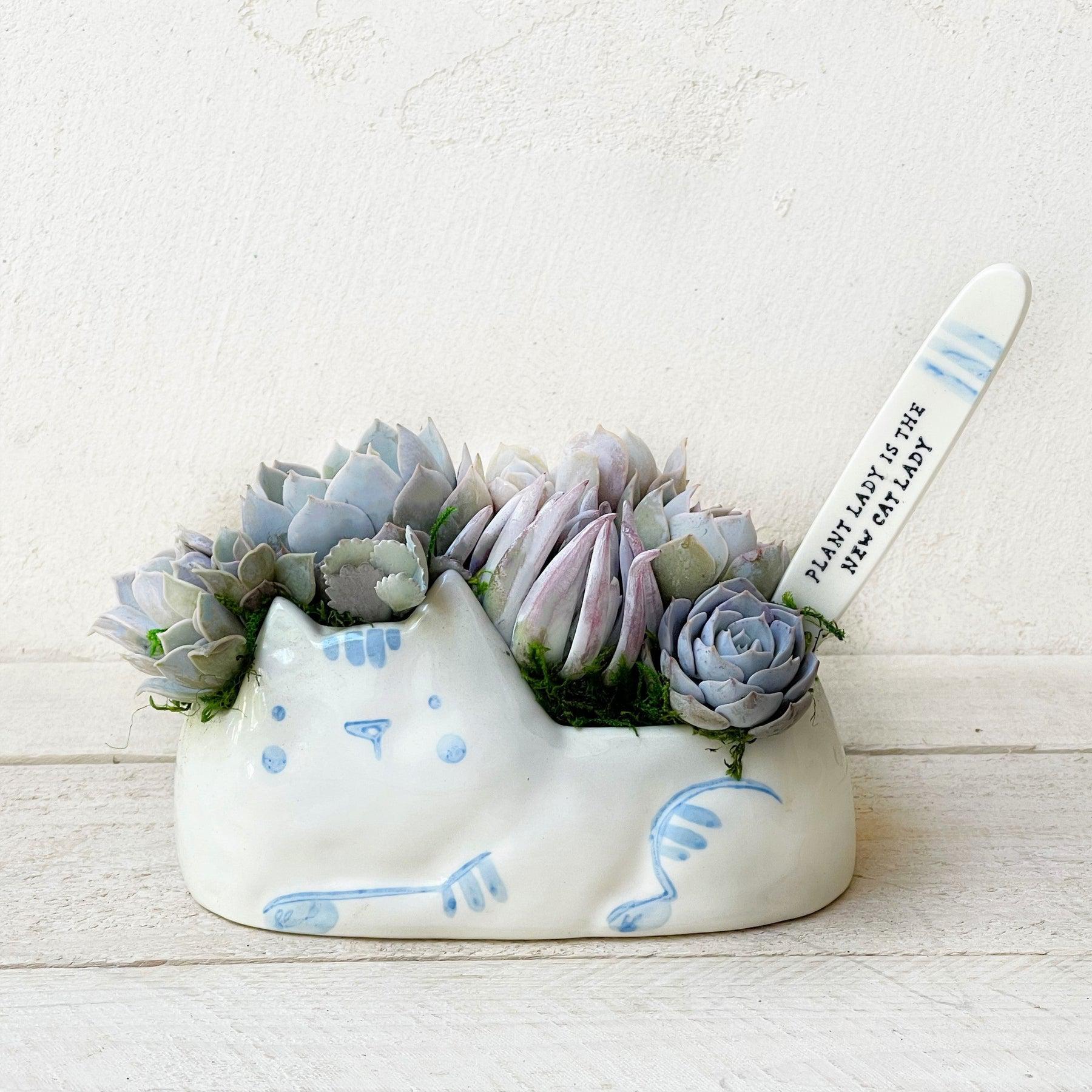 Juliette Kitten Planter Filled with Succulents.