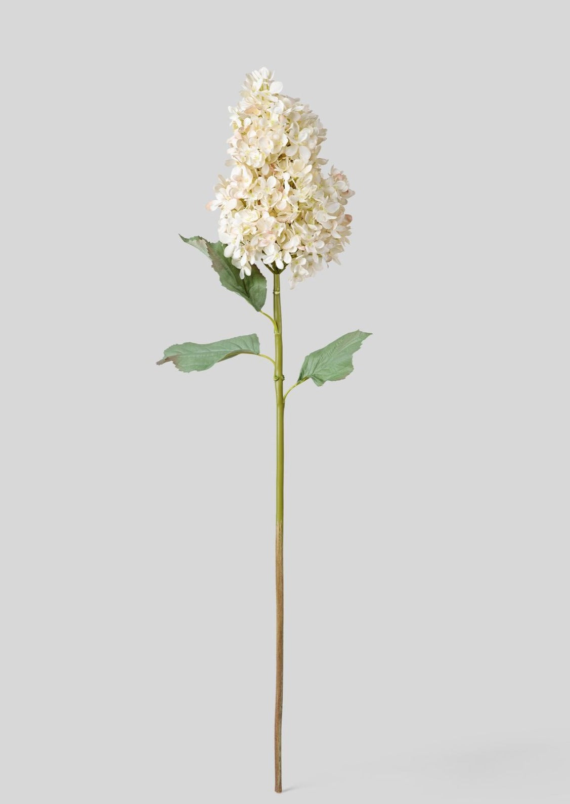 Large Faux Dried Cone Hydrangea in Parchment-Blooming Flowers-The Succulent Source