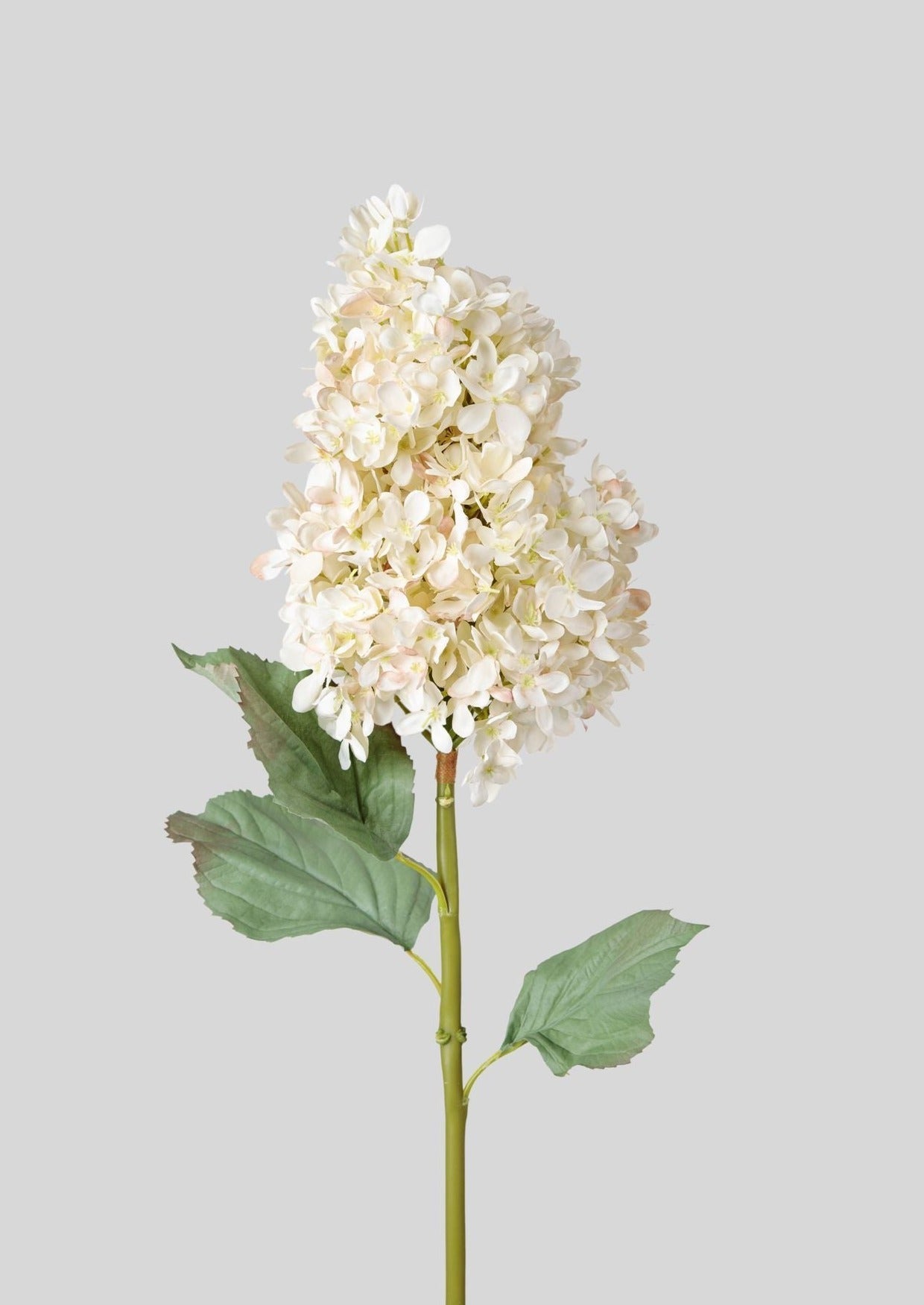 Large Faux Dried Cone Hydrangea in Parchment-Blooming Flowers-The Succulent Source