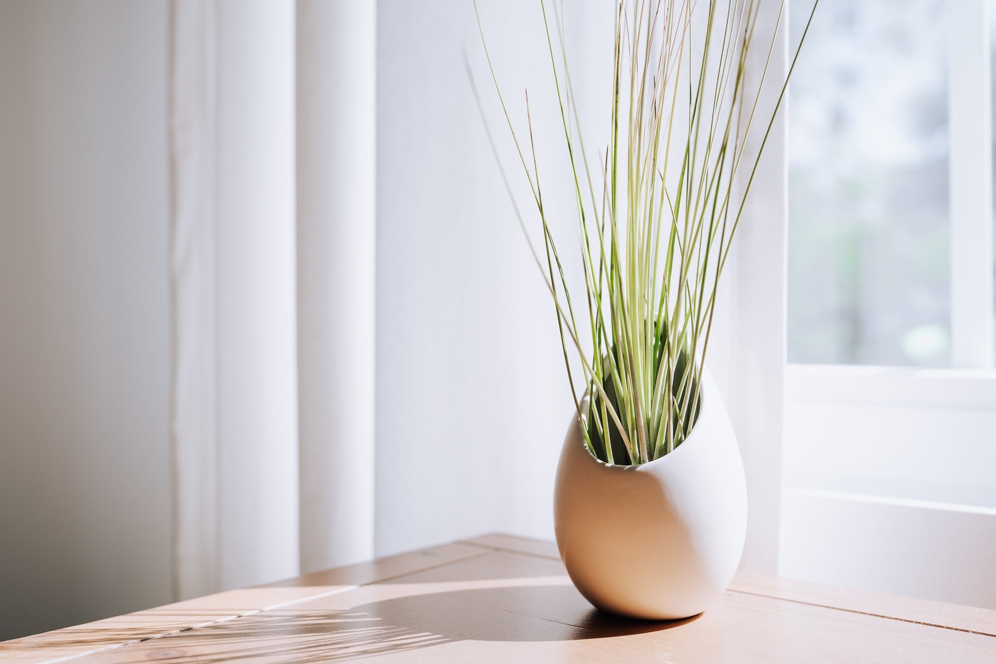 Large Ivory Ceramic Hanging Planter With Flat Bottom-The Succulent Source