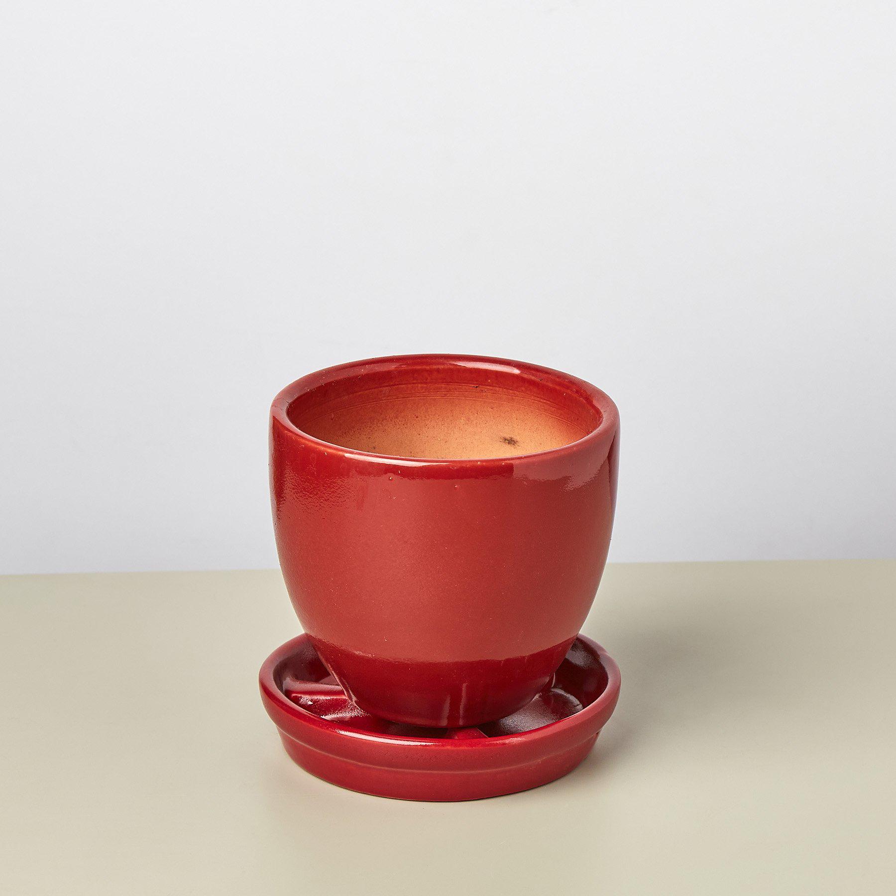 Liberty Bell Planter-Default-The Succulent Source