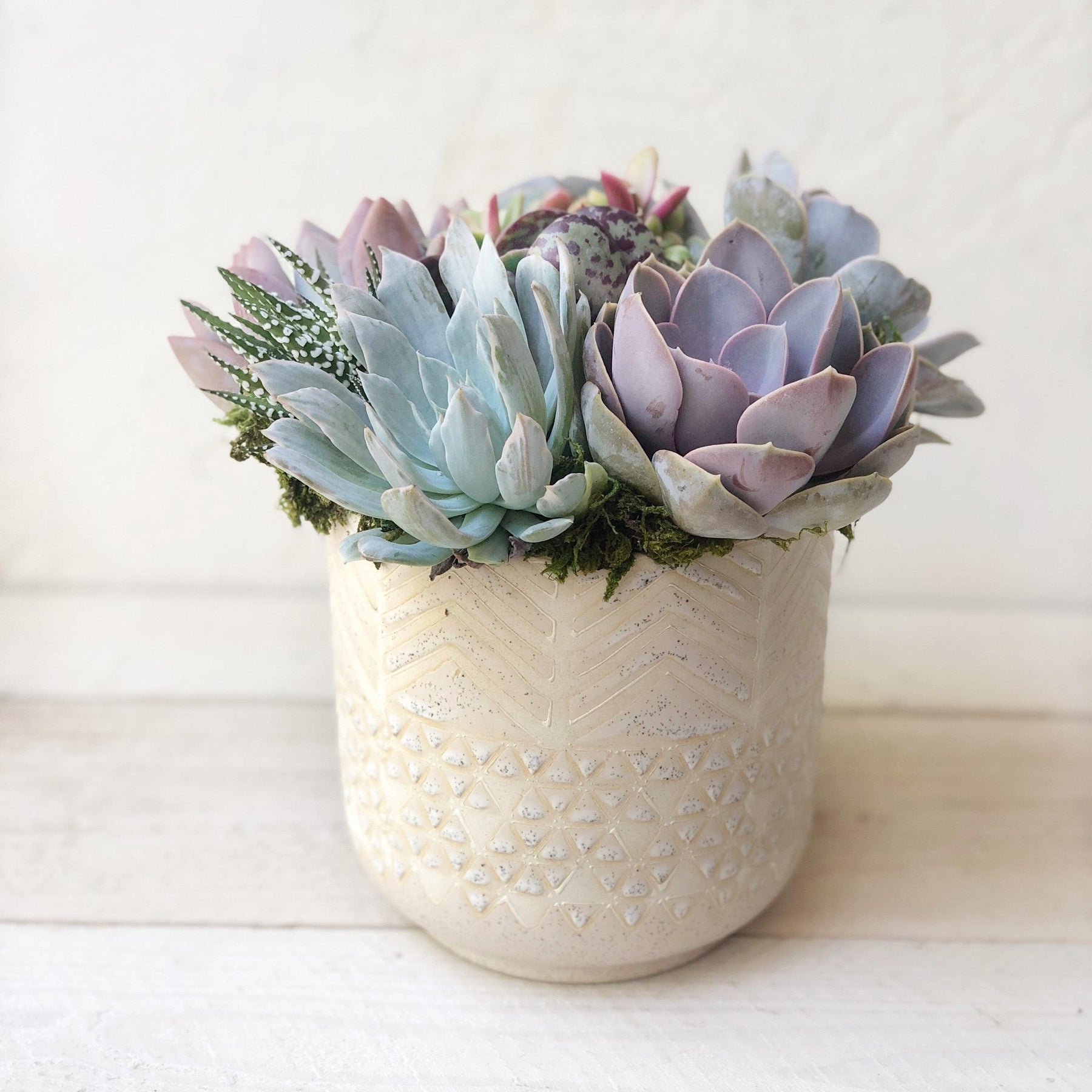 Mila Succulent Planter With Pastel Colored Succulents.