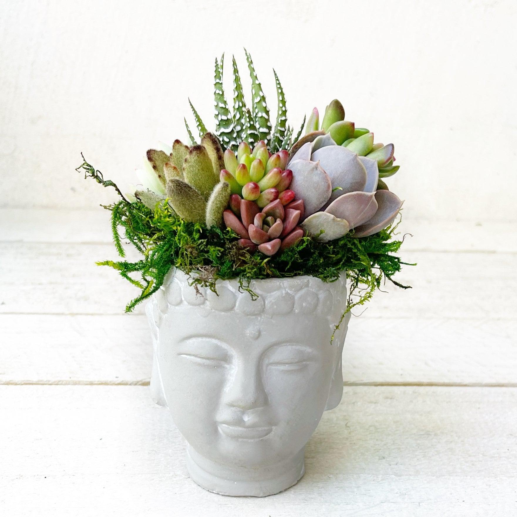 Mini Zen Buddha Planter With Succulents.