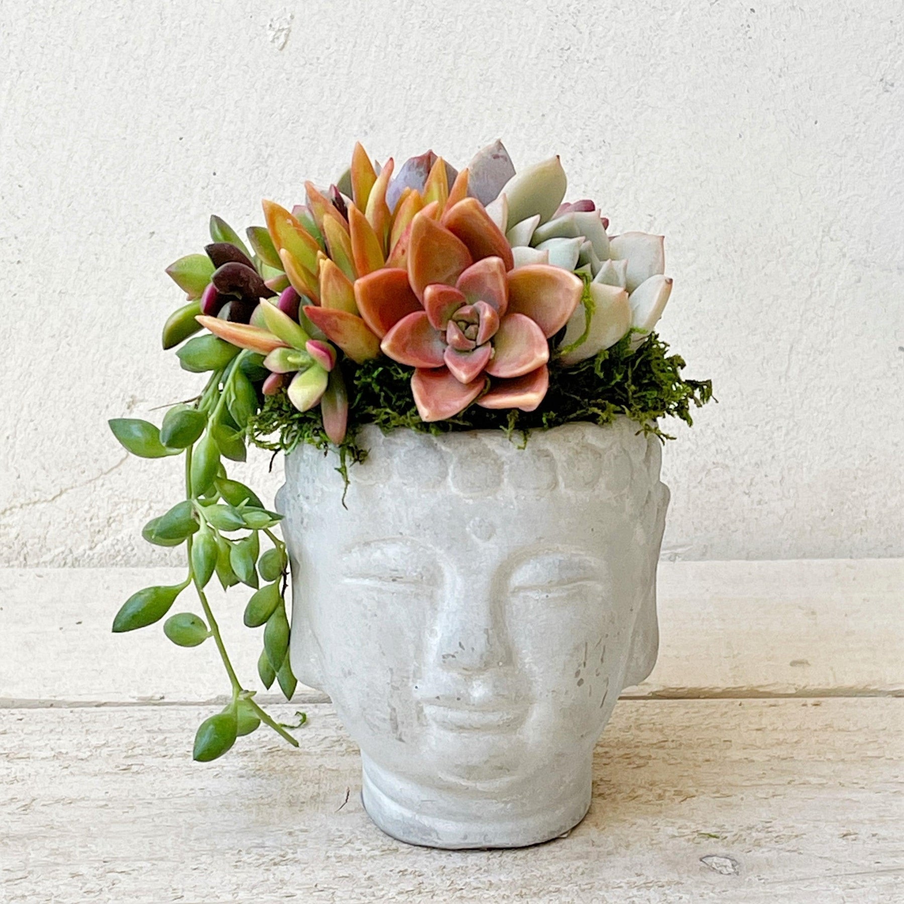 Mini Zen Buddha Planter With Succulents.