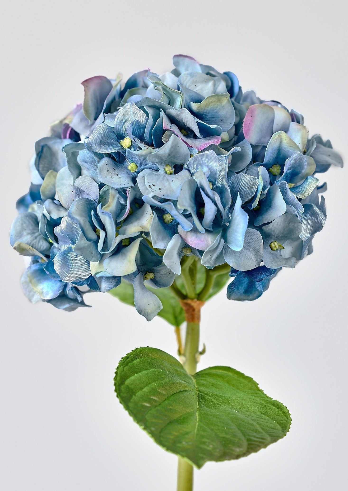 Nantucket Blue Real Touch Hydrangea - 18"-Blooming Flowers-The Succulent Source