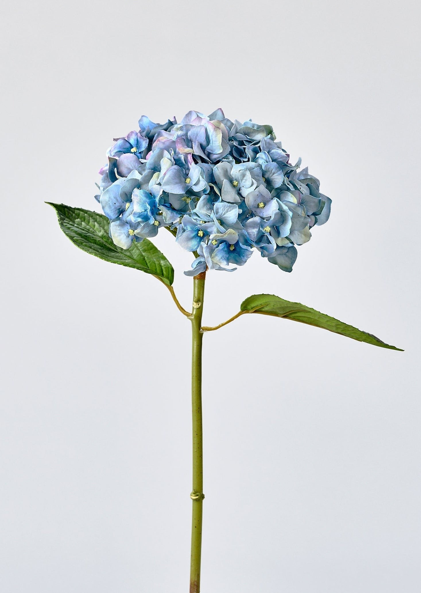 Nantucket Blue Real Touch Hydrangea - 18"-Blooming Flowers-The Succulent Source