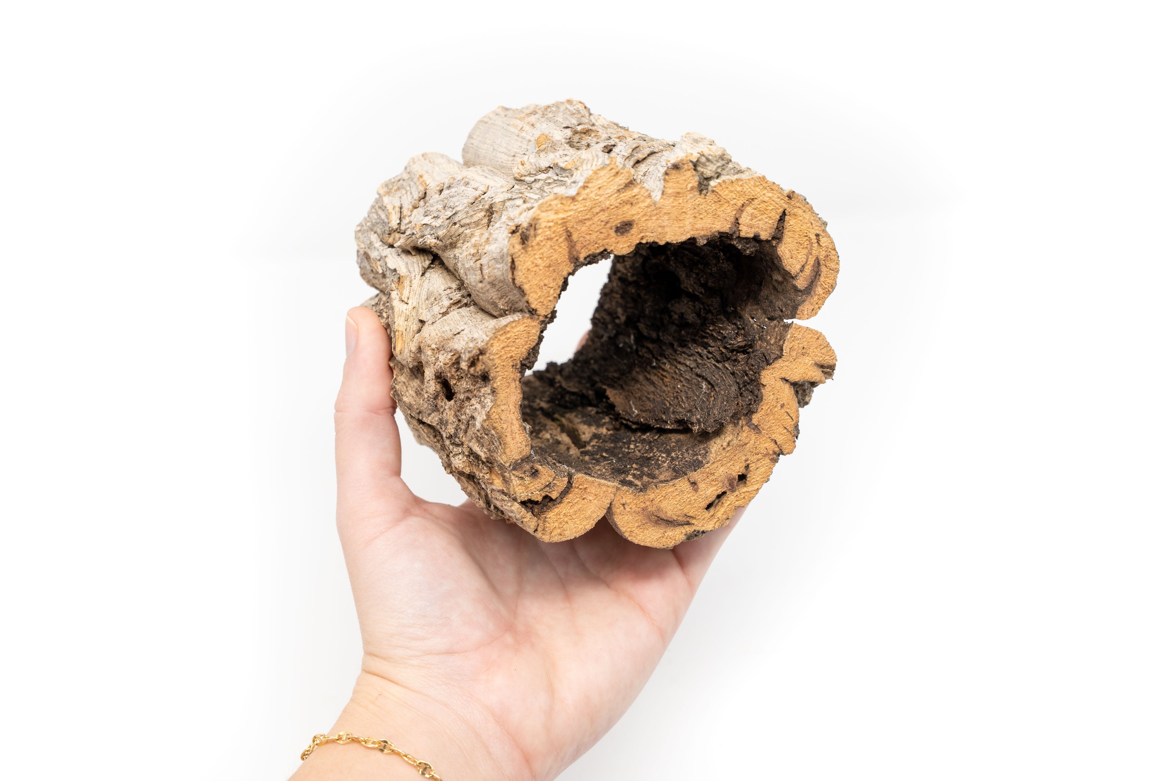 Natural Cork Bark Planters-terrarium-The Succulent Source