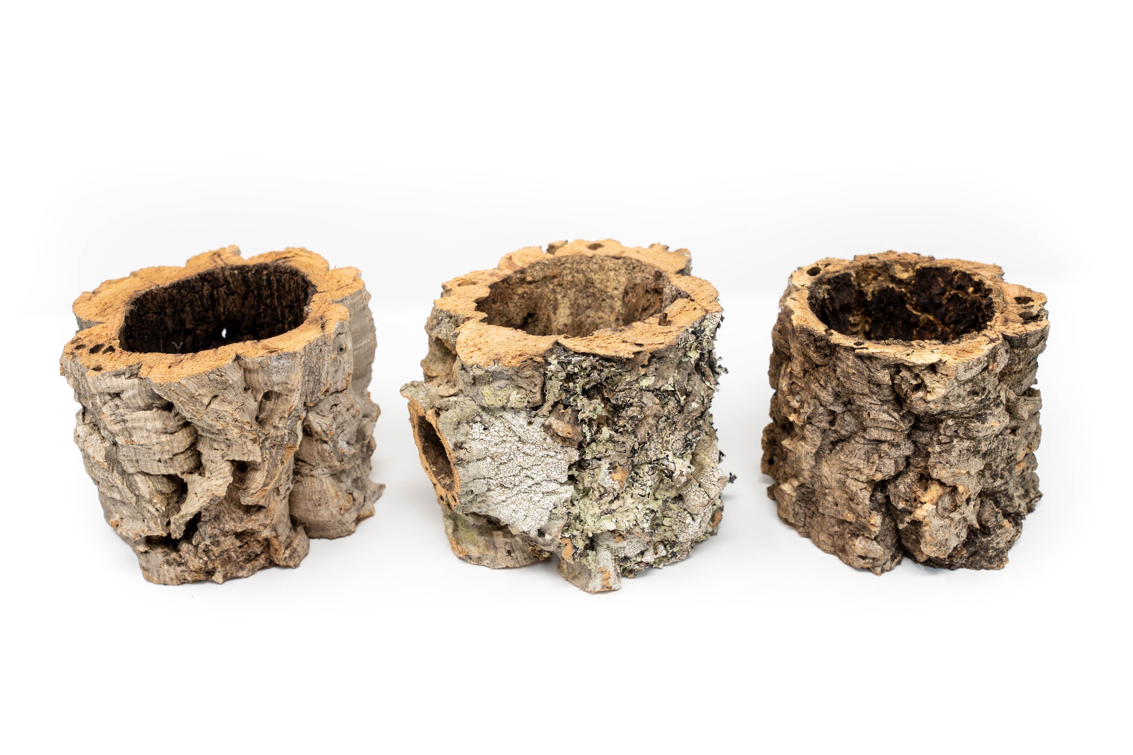 Natural Cork Bark Planters-terrarium-The Succulent Source