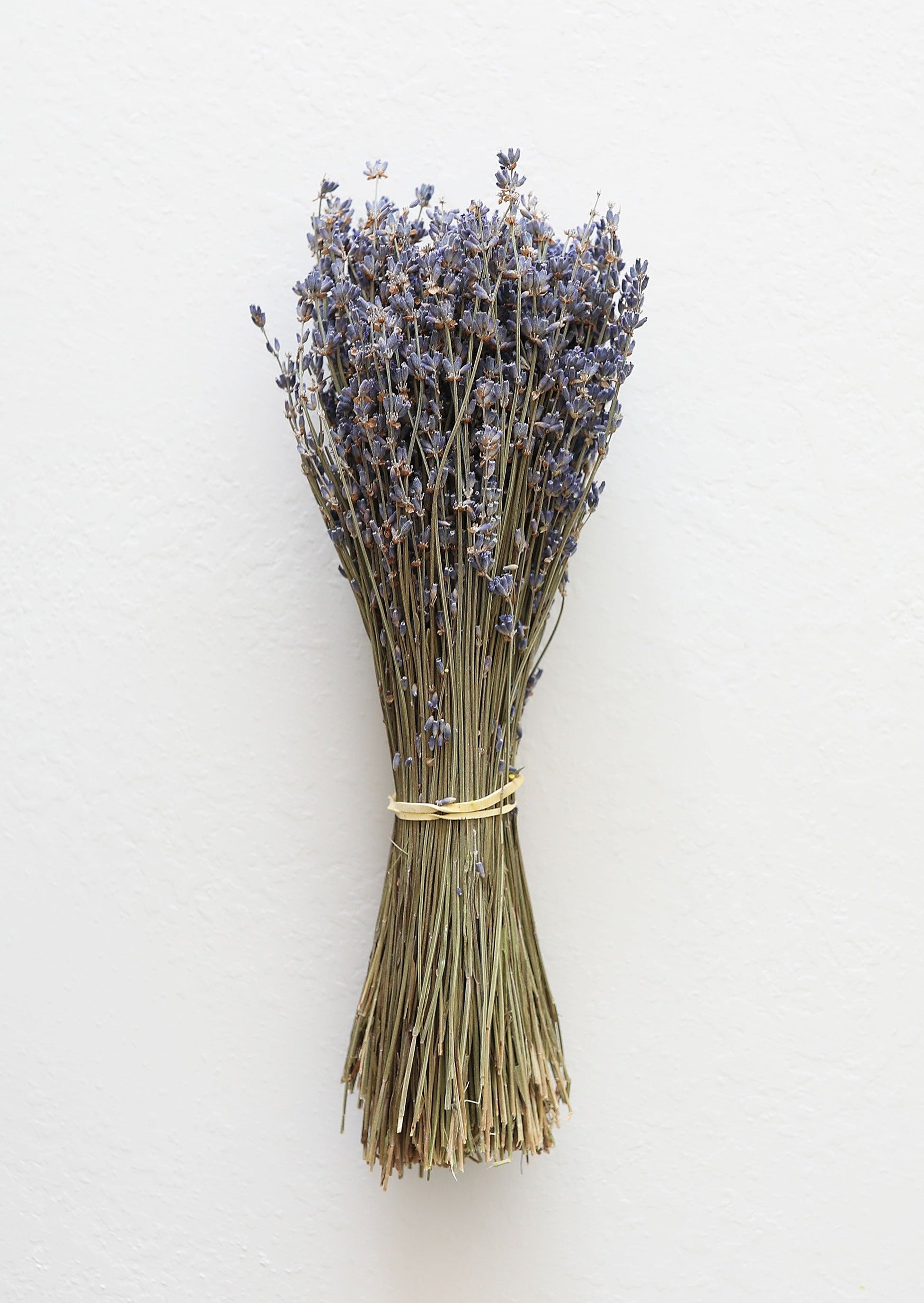 Natural Fragrant Dried Lavender Bundle - 6-14"-Naturals-The Succulent Source