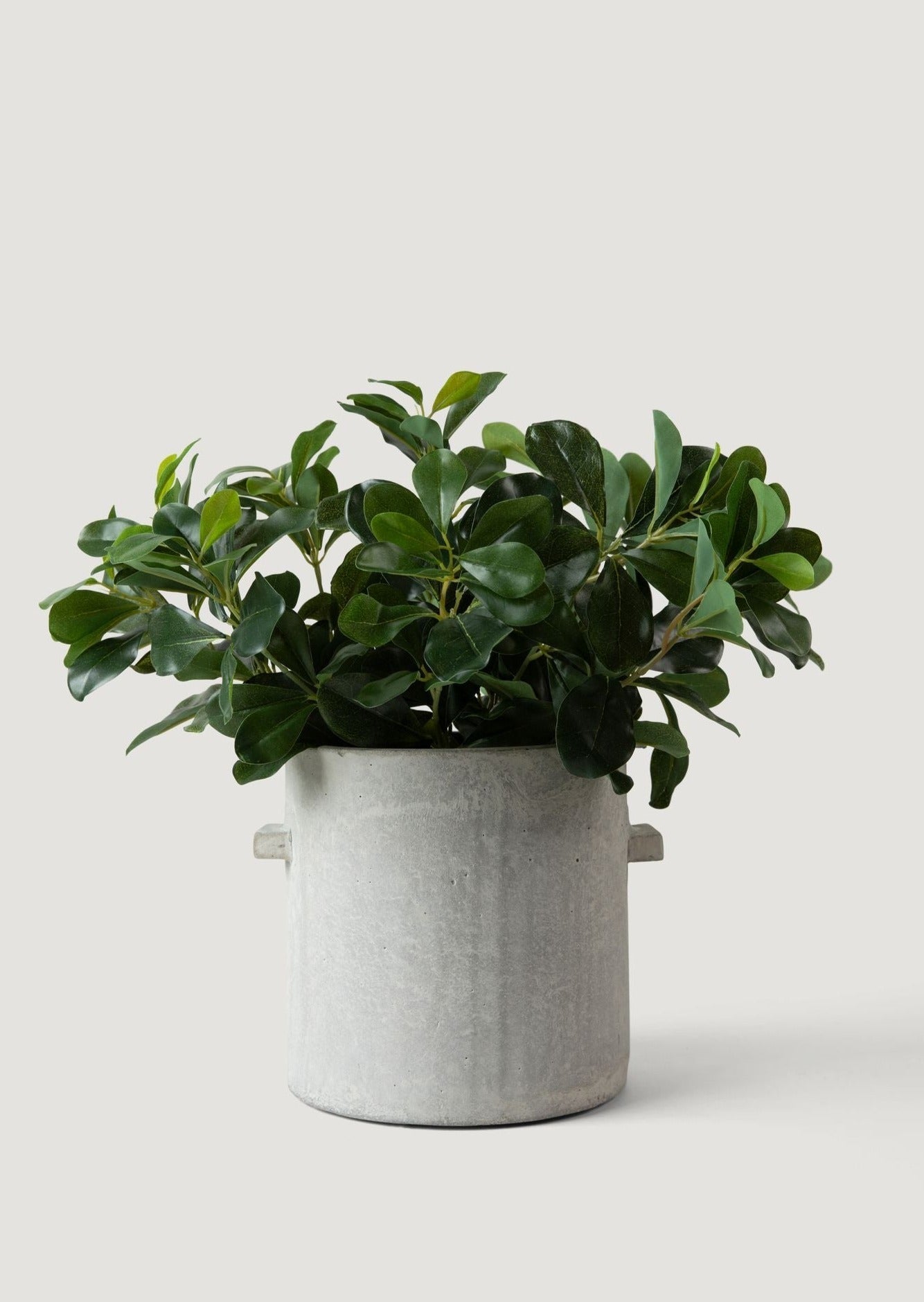 Natural Touch Artificial Wax Privet Leaf Plant - 15"-Everyday Plants-The Succulent Source