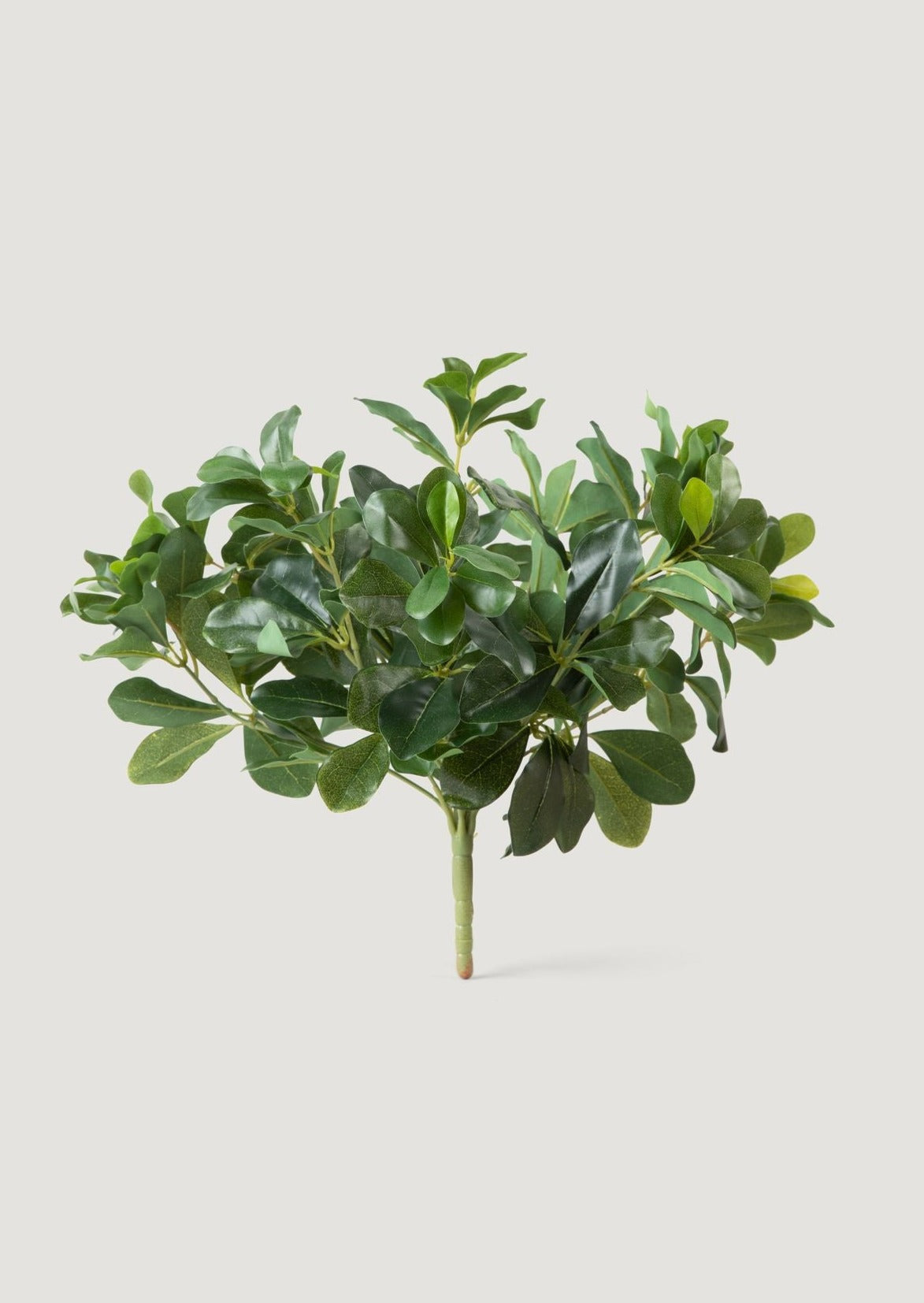 Natural Touch Artificial Wax Privet Leaf Plant - 15"-Everyday Plants-The Succulent Source