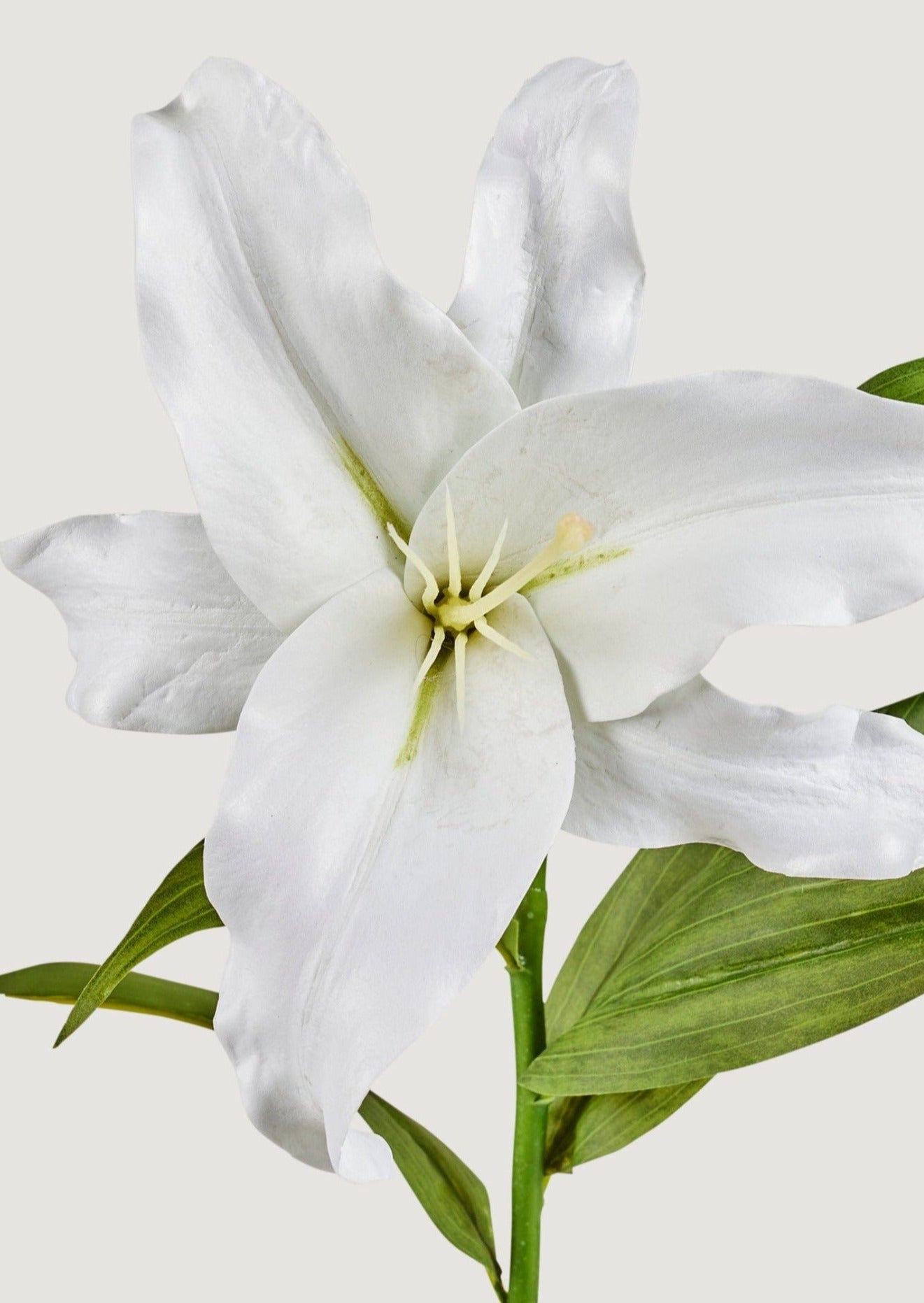 Natural Touch Faux Casablanca Lily Flower in White - 27"-Blooming Flowers-The Succulent Source