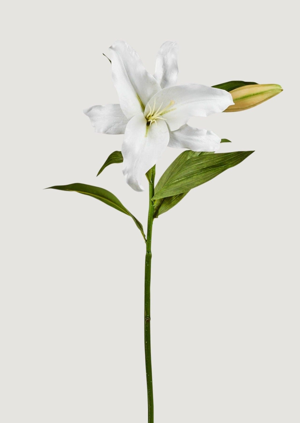 Natural Touch Faux Casablanca Lily Flower in White - 27"-Blooming Flowers-The Succulent Source