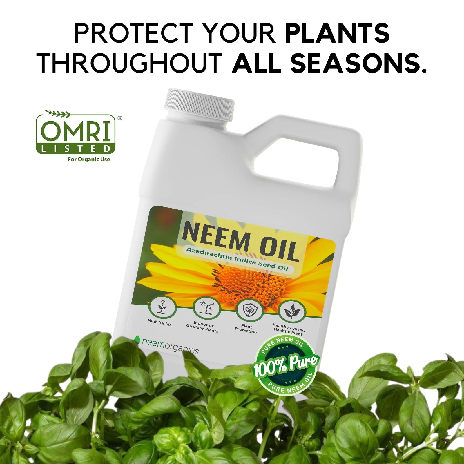 Neem Oil Organic Pest Control 16oz-The Succulent Source