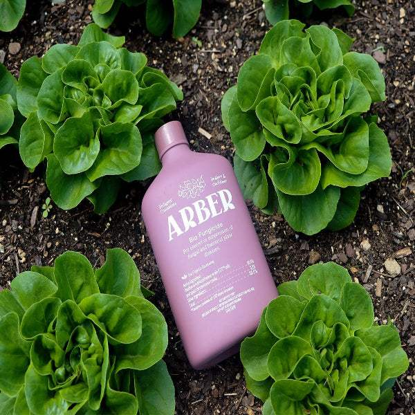 Organic Bio Fungicide-The Succulent Source