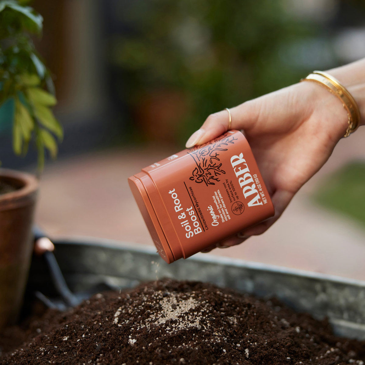 Organic Soil & Root Boost-The Succulent Source