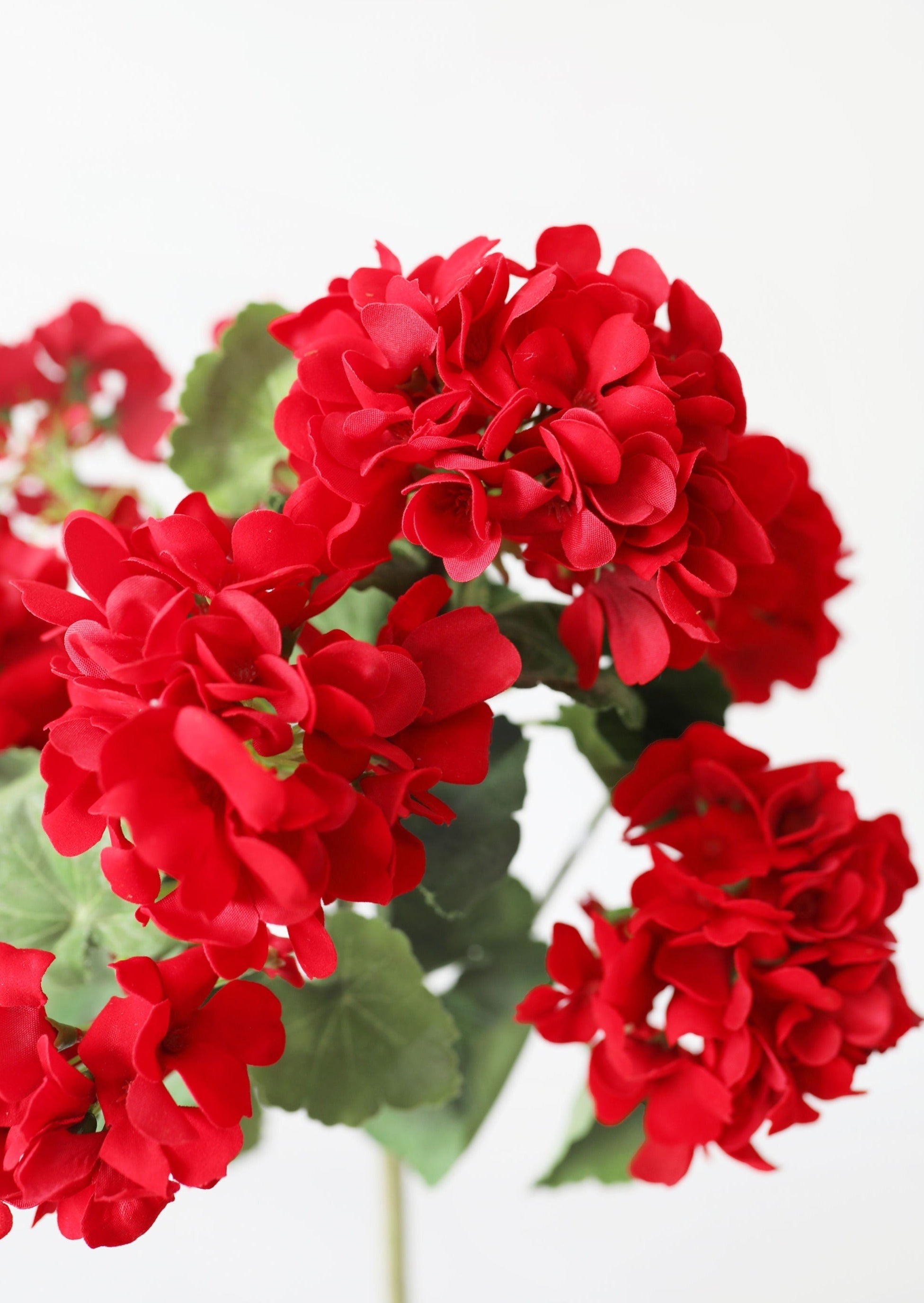 Outdoor Fake Flowers | Water Resistant Outdoor Red Geranium Bush - 18"-Blooming Flowers-The Succulent Source