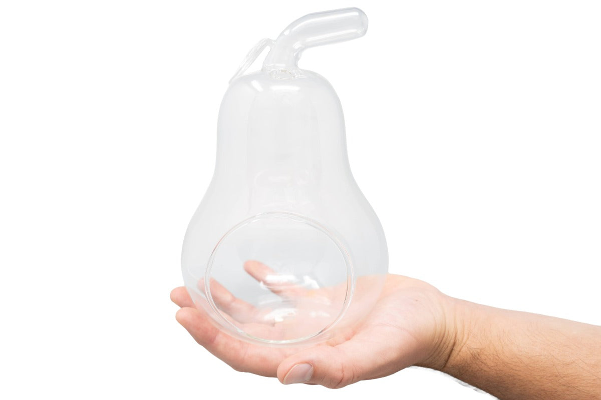 Pear Terrarium with Pebble Kit and Tillandsia Air Plants-gift-The Succulent Source