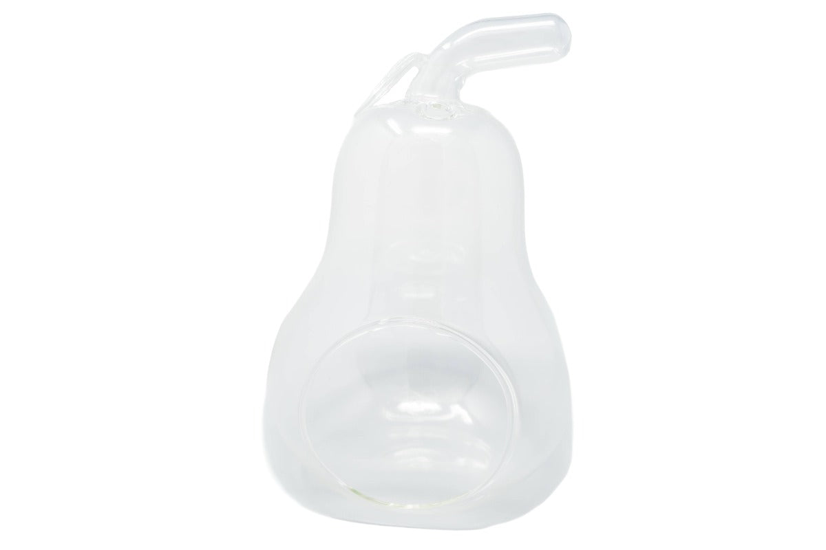 Pear Terrarium with Pebble Kit and Tillandsia Air Plants-gift-The Succulent Source