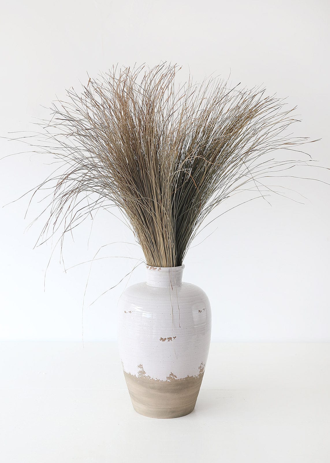 Preserved Coastal Dune Grass - 36"-Naturals-The Succulent Source