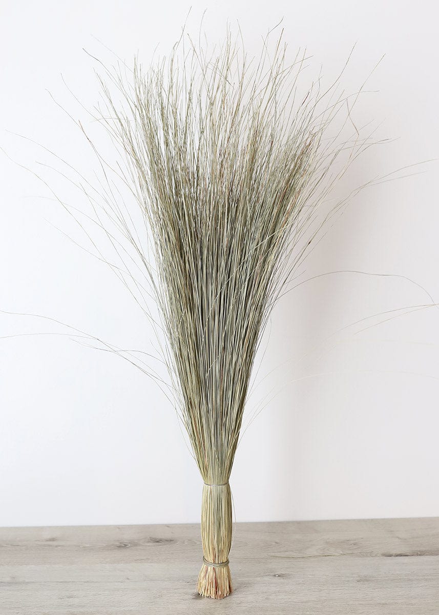 Preserved Coastal Dune Grass - 36"-Naturals-The Succulent Source