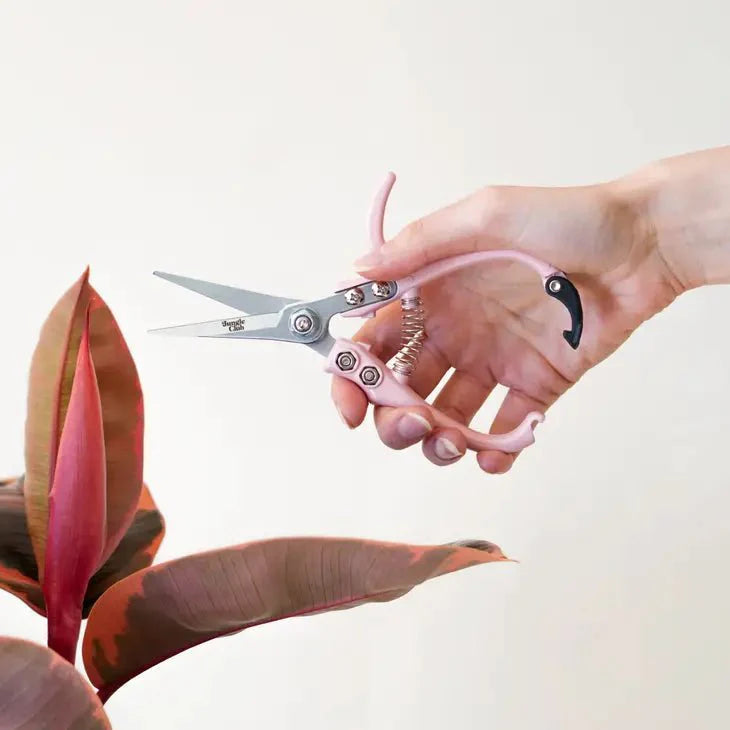 Pruning Shears-Gardening Tools-The Succulent Source