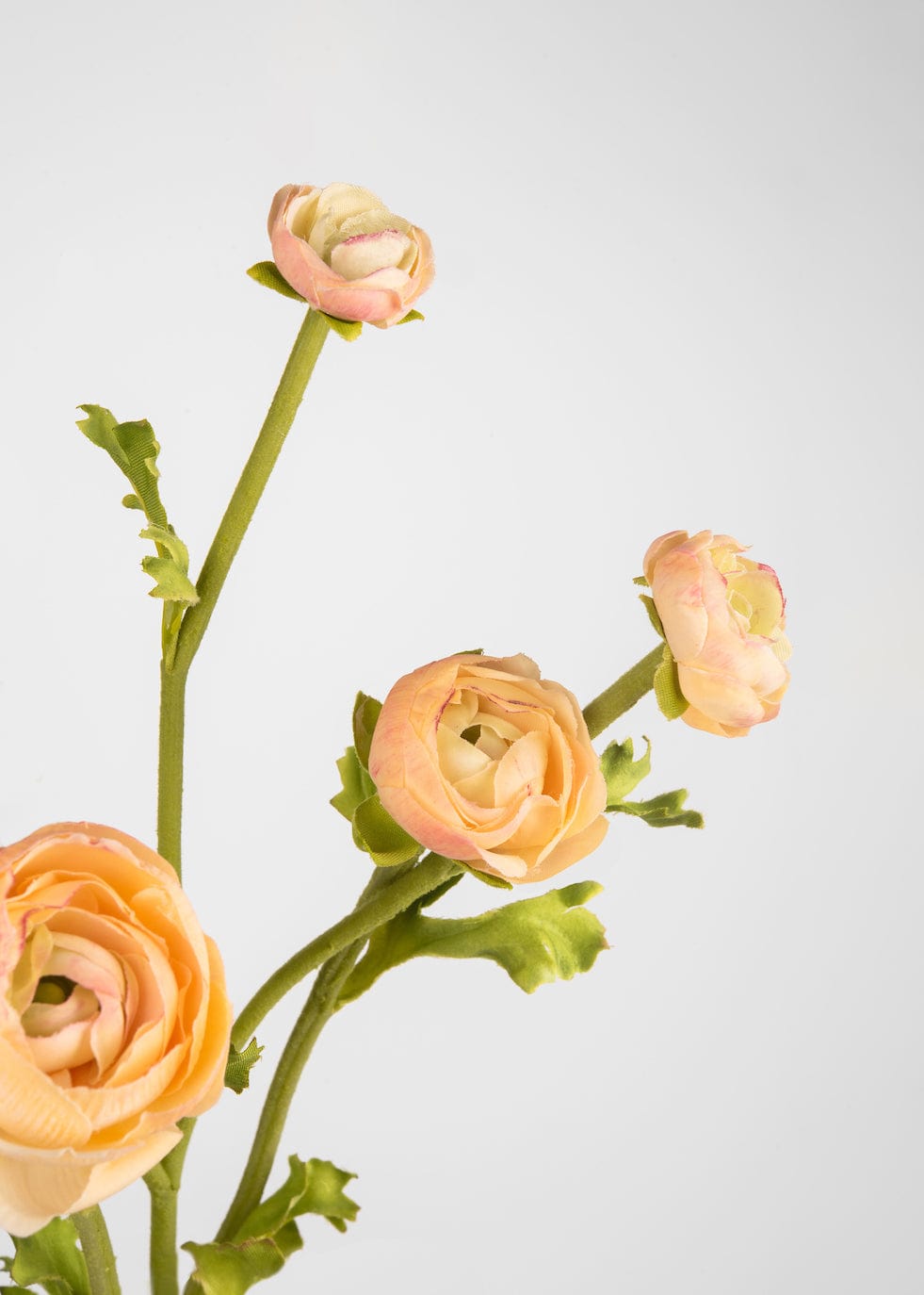 Real Touch Faux Ranunculus in Peach - 21.5"-Blooming Flowers-The Succulent Source