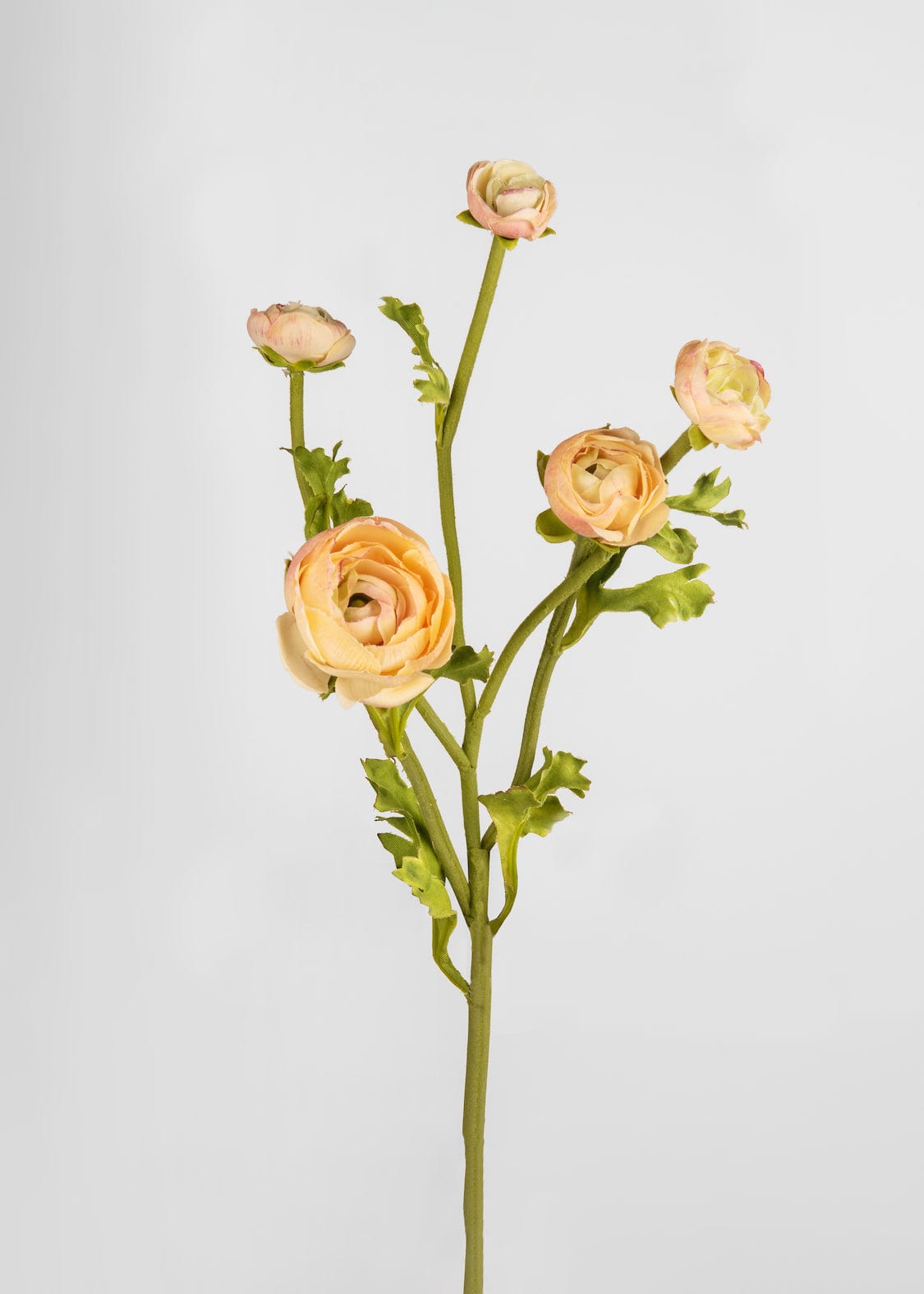 Real Touch Faux Ranunculus in Peach - 21.5"-Blooming Flowers-The Succulent Source