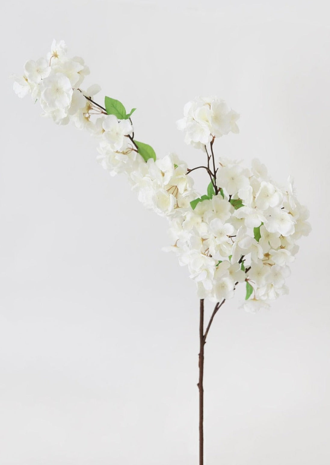 SALE - Faux Flowers Cherry Blossom Stem in Cream White - 44"-Blooming Flowers-The Succulent Source