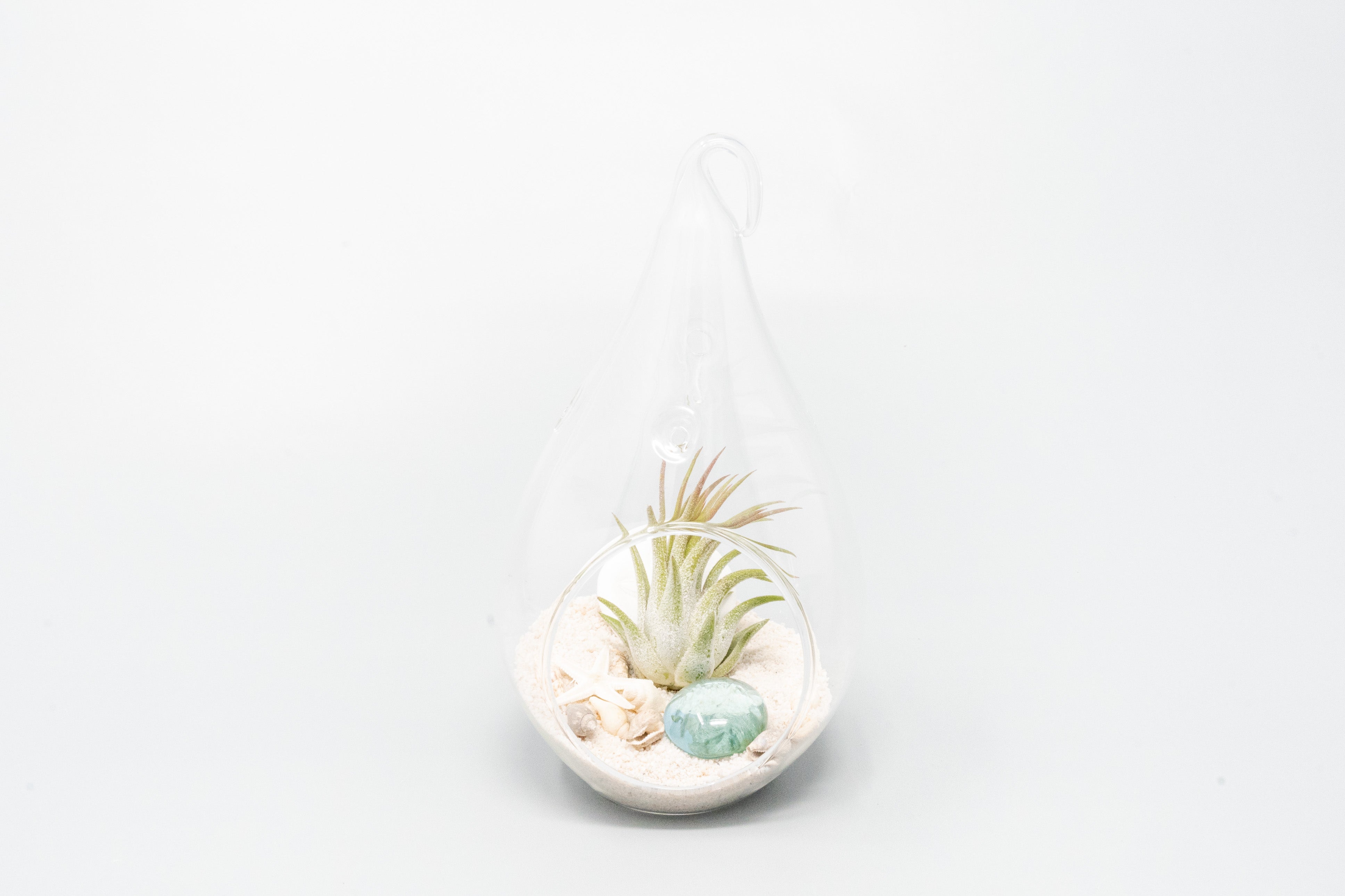 SALE - Set of 3 Teardrop Beach Terrariums with White Sand-terrarium-The Succulent Source