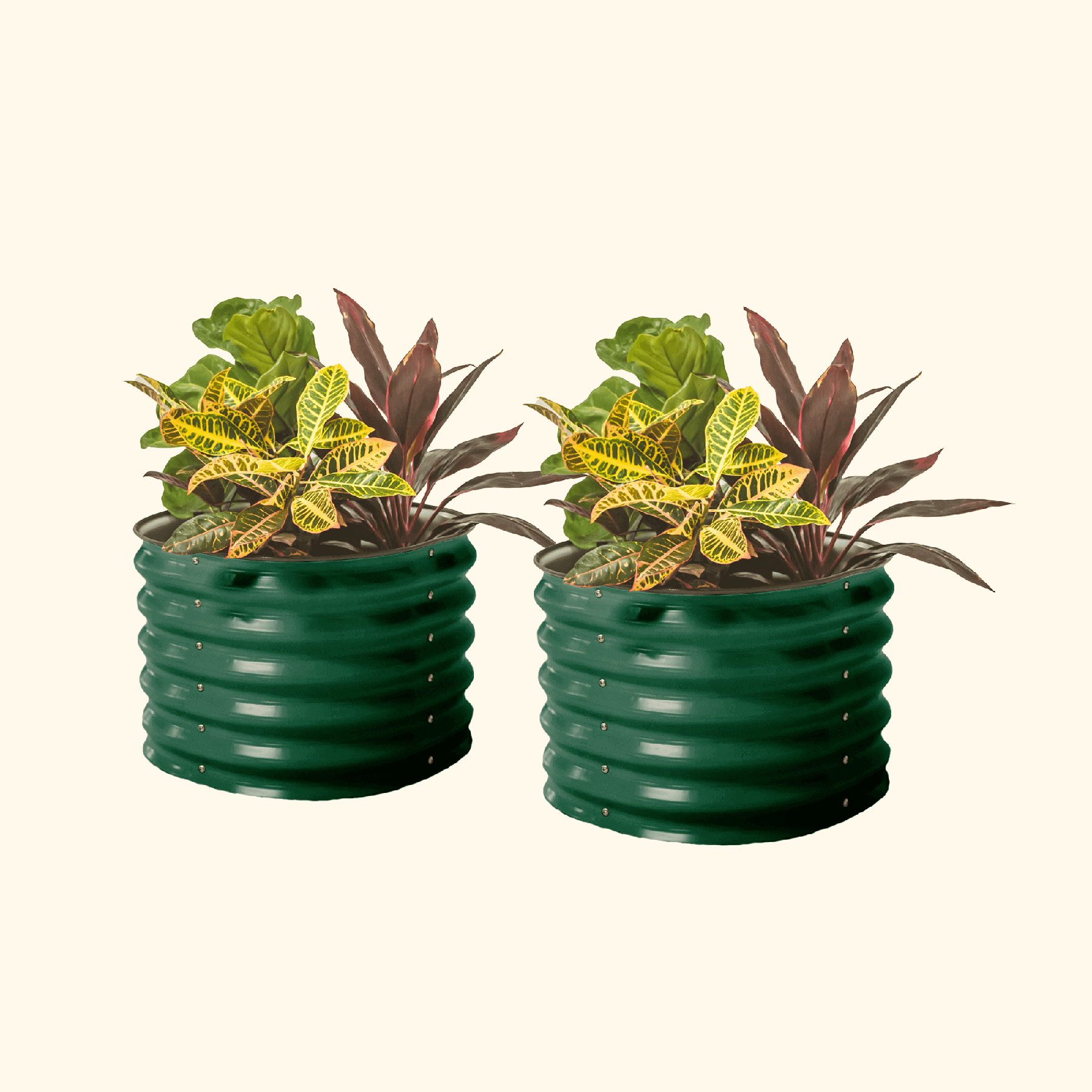 Self-Watering Planter - Twin Pack-Garden beds-The Succulent Source