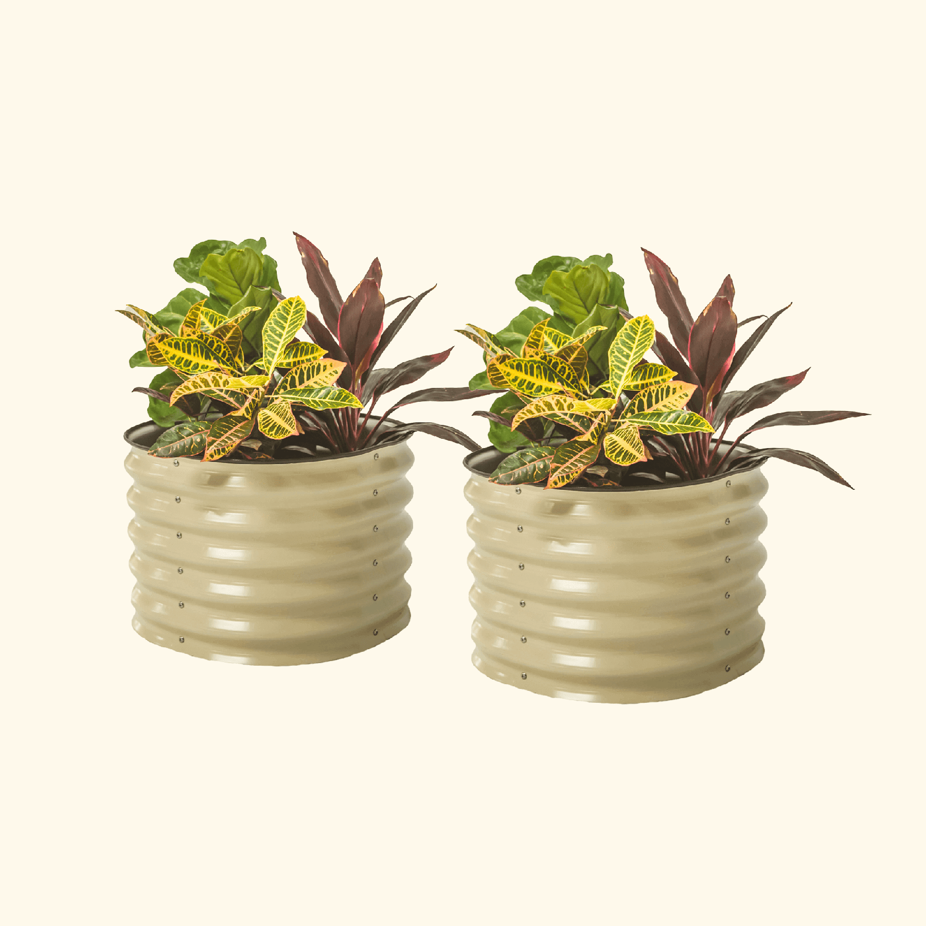 Self-Watering Planter - Twin Pack-Garden beds-The Succulent Source