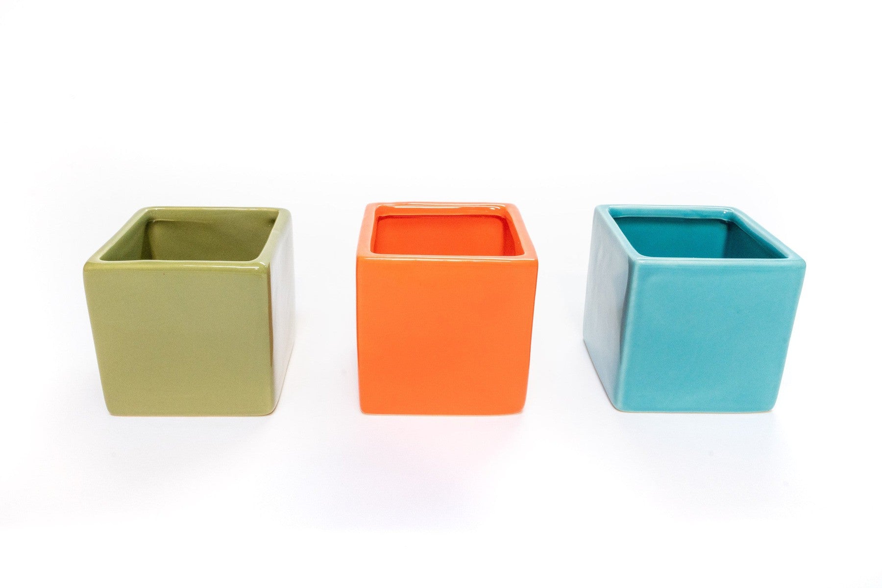Set of 3 Ceramic Cube Containers with Custom Tillandsia Air Plants / Avocado Green + Sky Blue + Naranja Orange-The Succulent Source