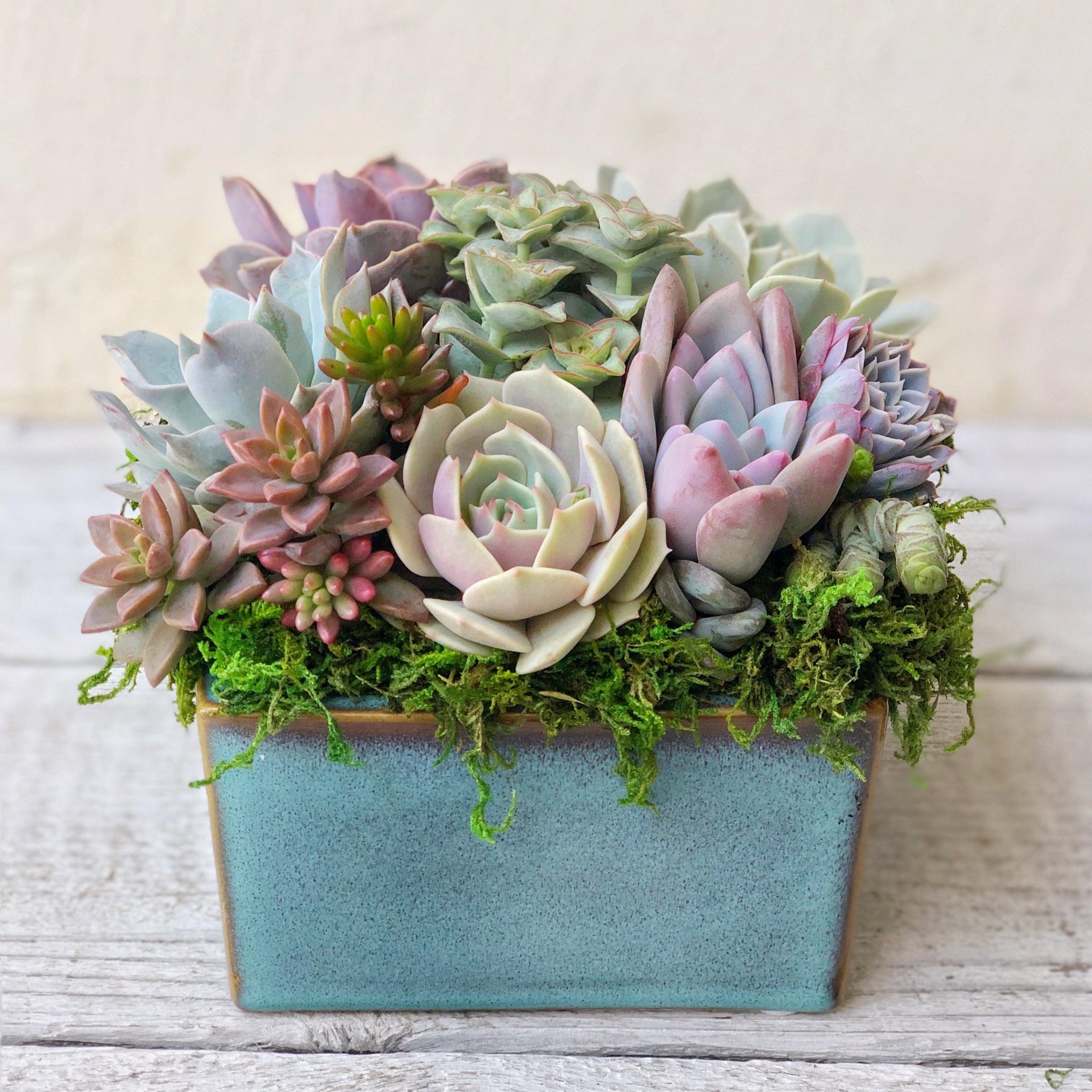 Simply Classic Ceramic Planter.