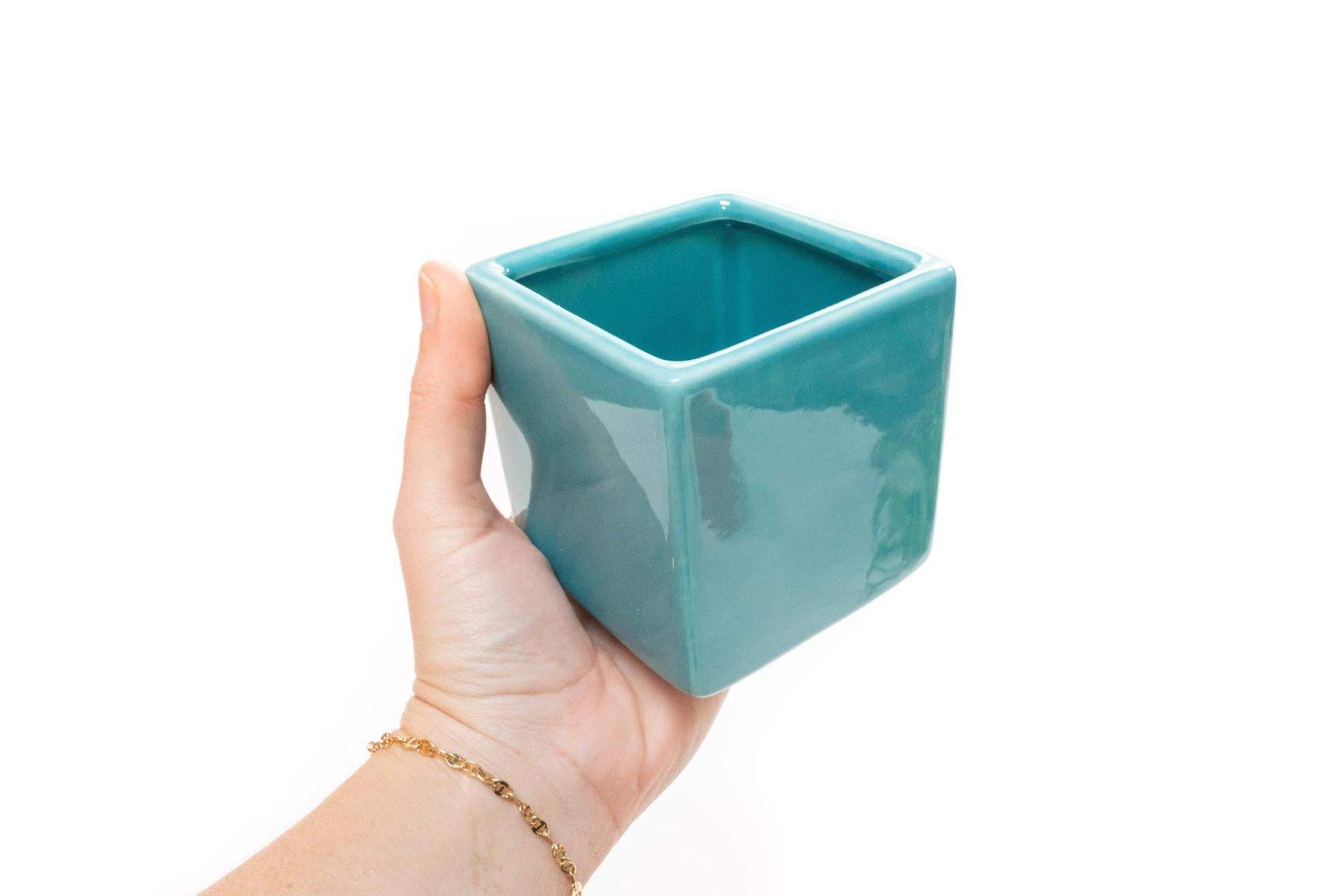 Sky Blue Ceramic Cube Container with Custom Tillandsia Air Plant-The Succulent Source