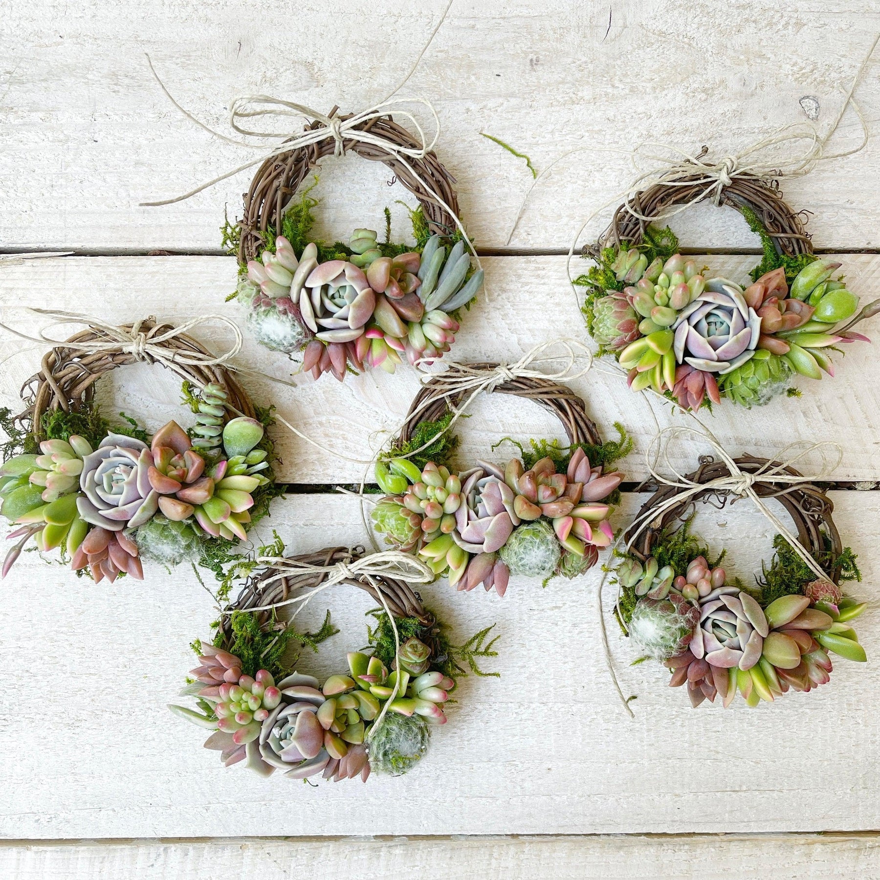 Succulent Trimmed Pixie Wreath.